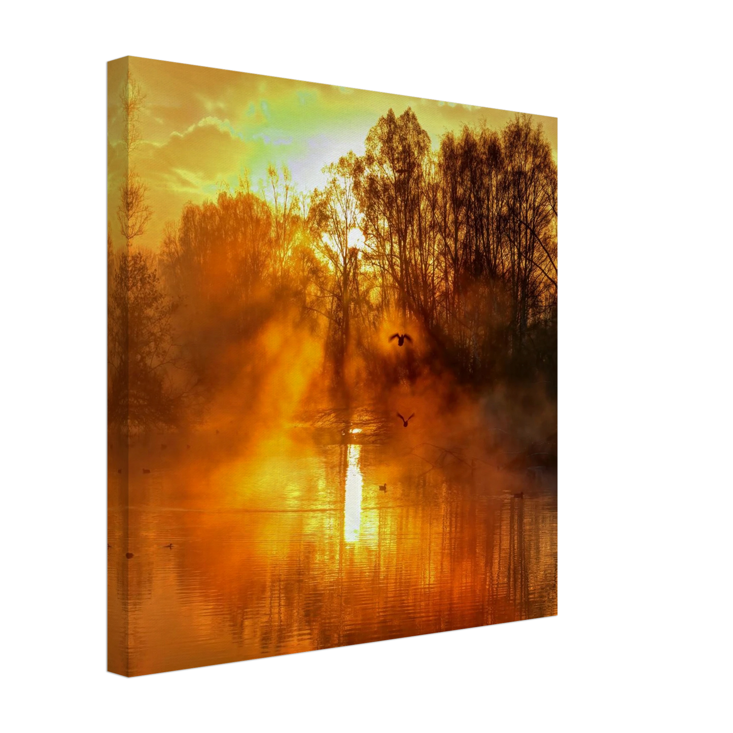 Wandbild Goldene morgenroete wandbild nebelwald poster in 25 groessenausfuehrungen