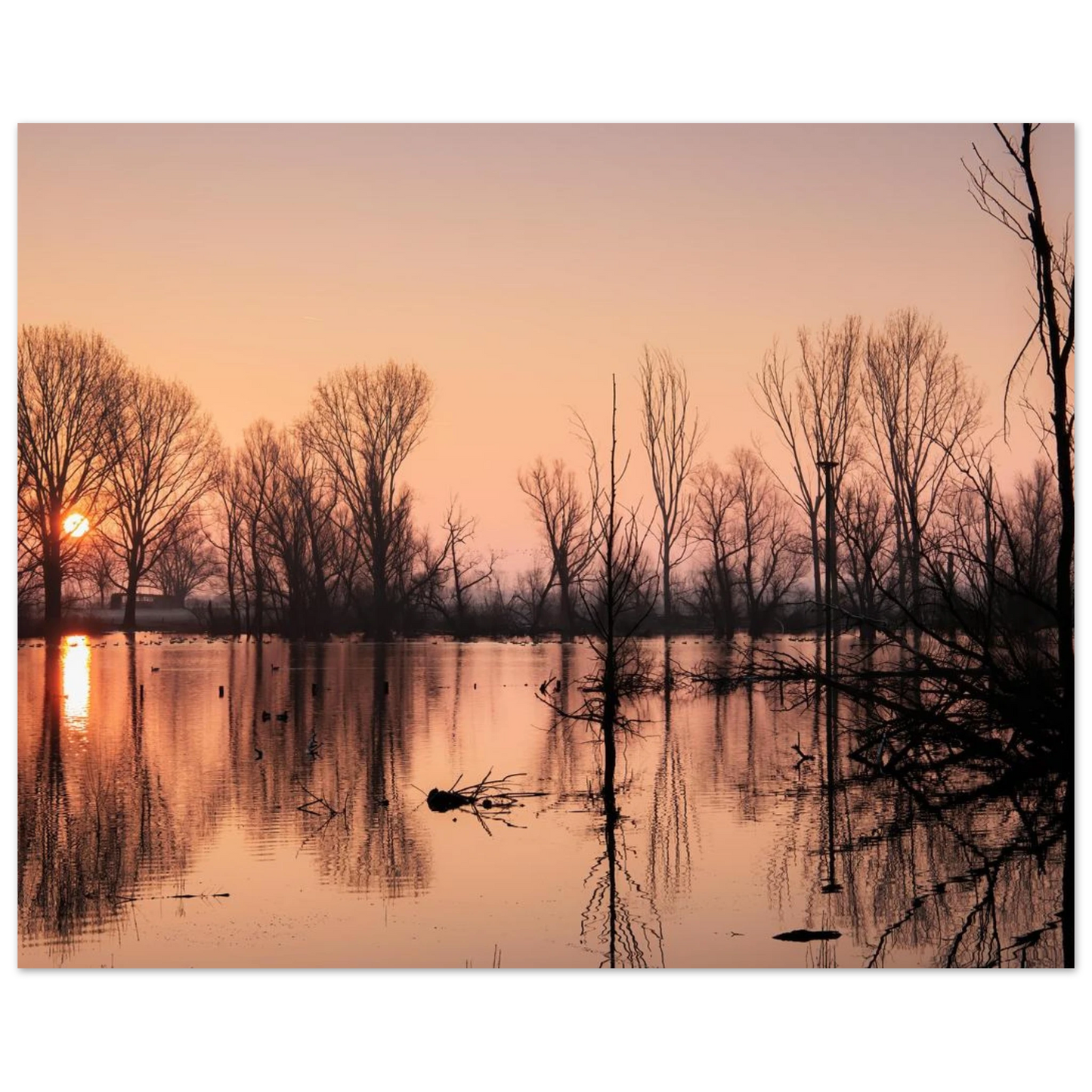 Wandbild mystischer sonnenuntergang am see vertraeumtes naturbild zum aufhaengen in ihrer wunschgroesse