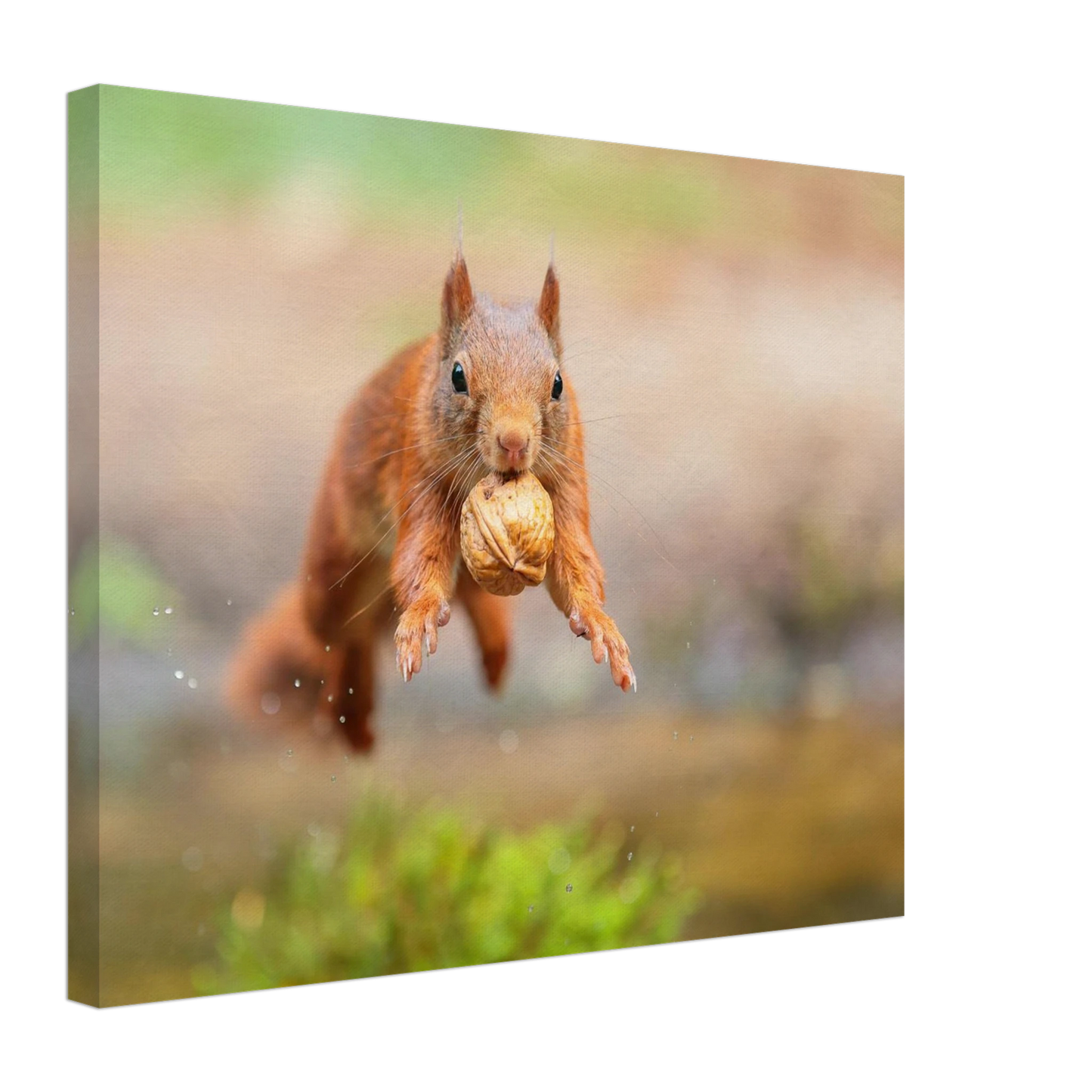 Wandbild eichhoernchens freudensprung dynamische tierkunst in leuchtenden farben