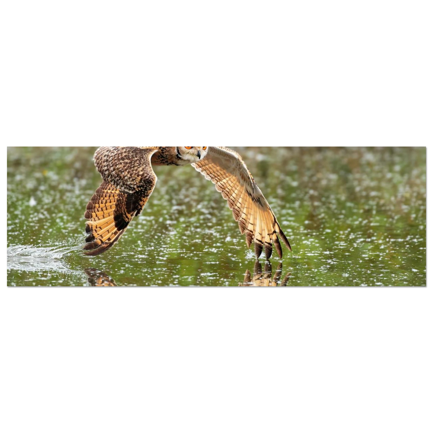 Wandbild majestaetische eule im flug naturfotografie mit lebendigen orangetoenen in ihrer wunschgroesse