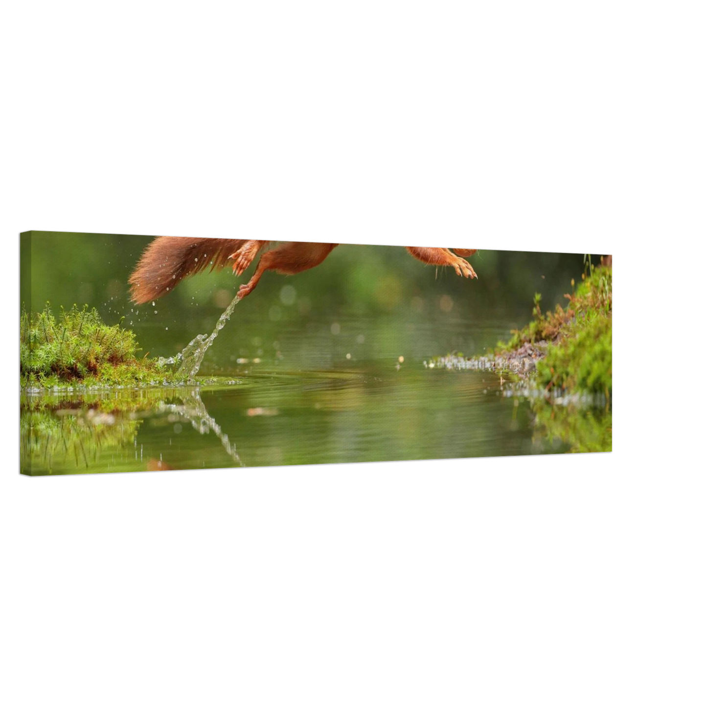 Wandbild Wandkunst eichhoernchens freudensprung dynamische naturkunst fuer ihr zuhause erhaeltlich in mehreren groessen
