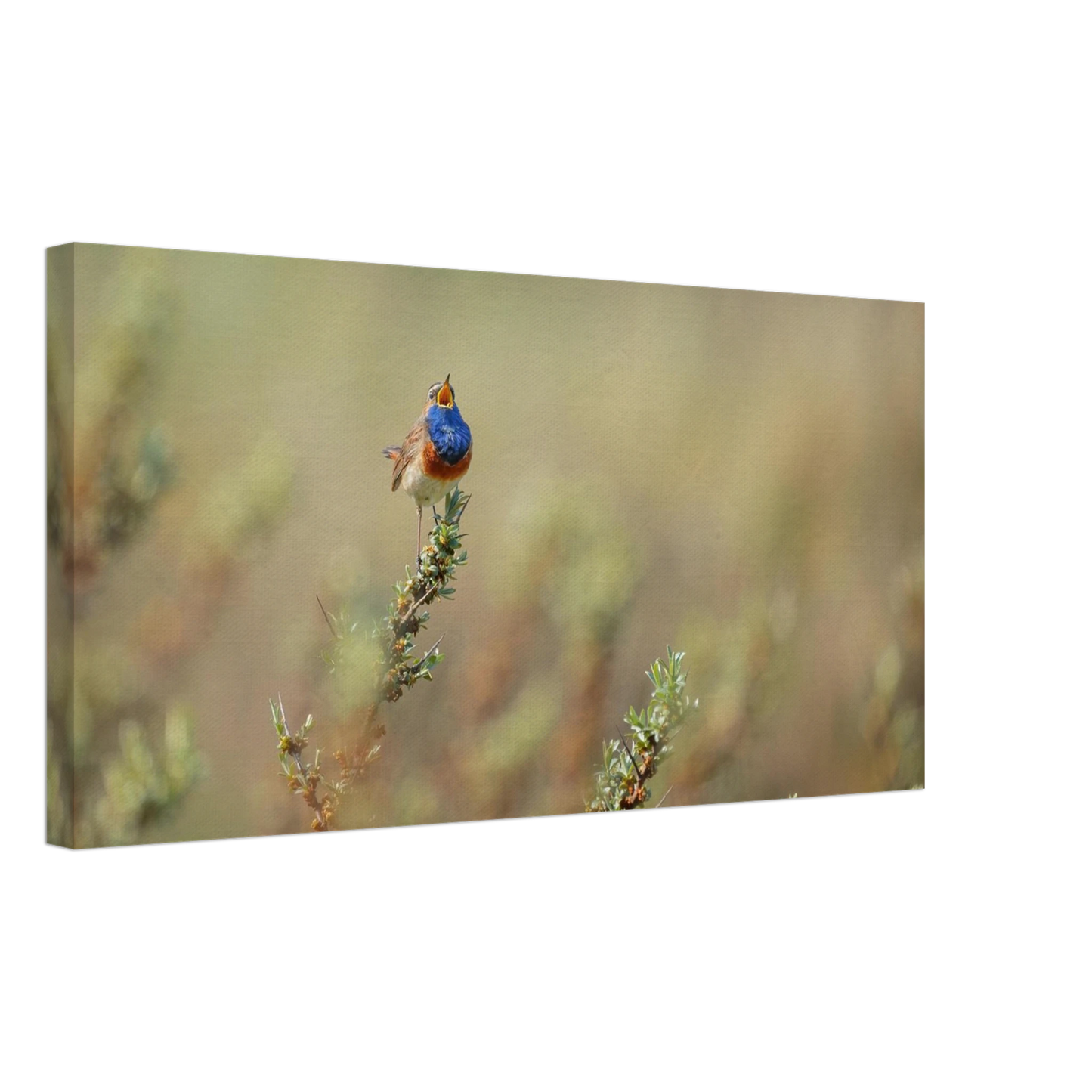 Wandbild lebendige nachtigall ein meisterwerk der naturfotografie fuer ihr zuhause