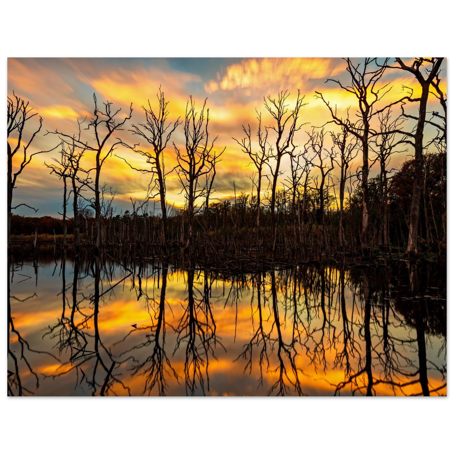 Wandbild mystischer sonnenuntergang ueber dem baumsee lebendige kunstdrucke in vielen groessen