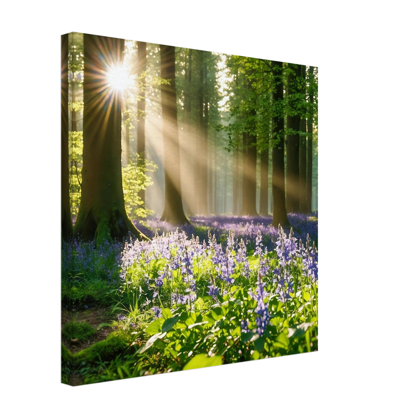 Wandbild mystischer morgenwald mit sonnenstrahlen und lila blueten in vielen groessen