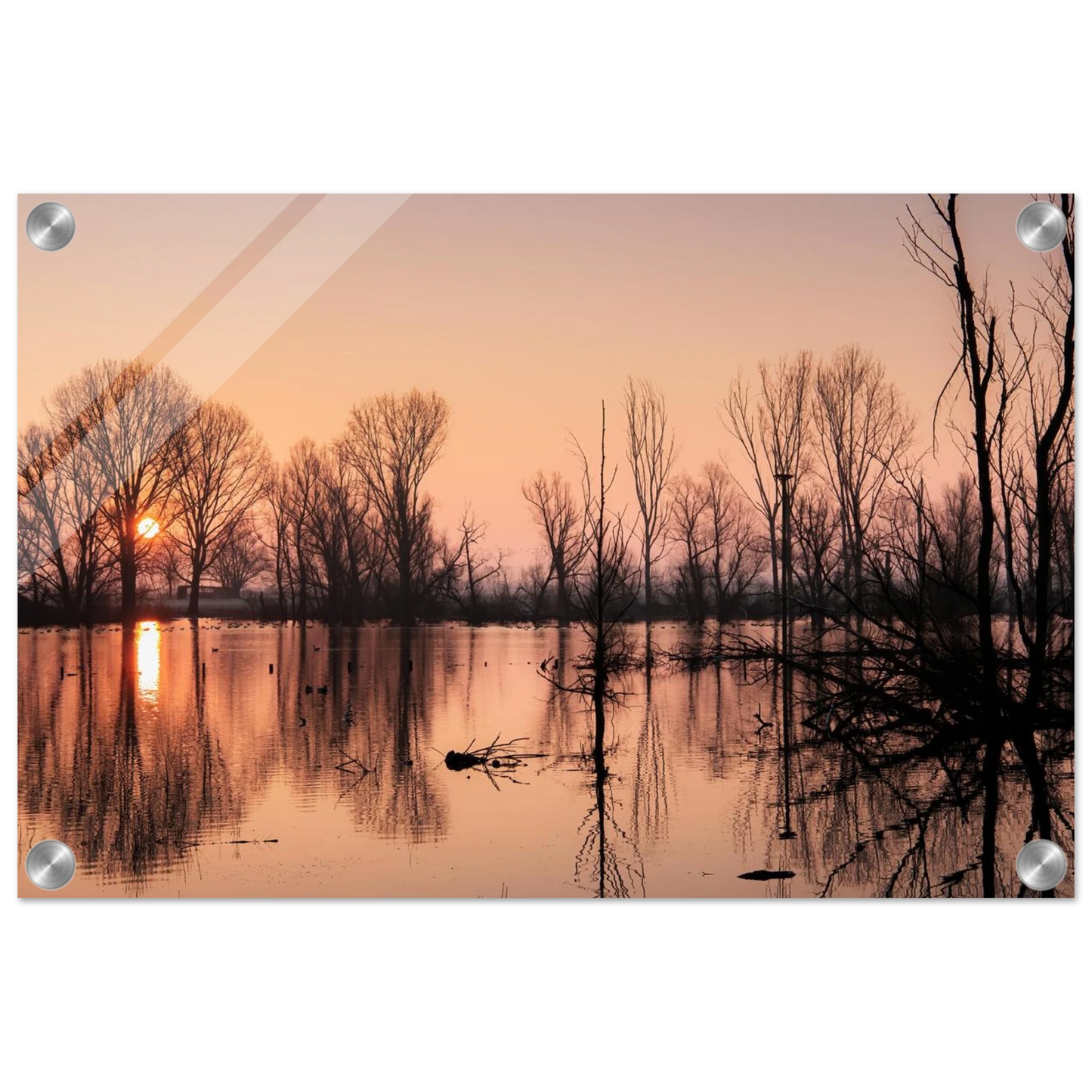 Wandbild mystischer sonnenuntergang am see vertraeumtes naturbild zum aufhaengen in ihrer wunschgroesse