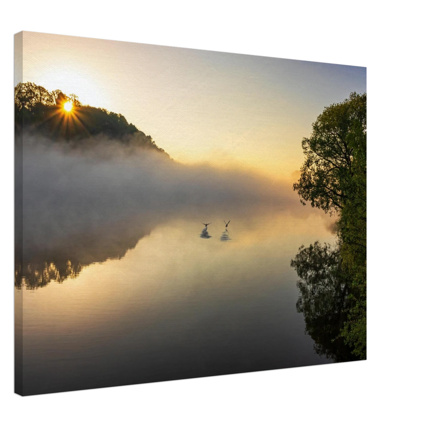 Wandbild mystischer sonnenaufgang ueber dem nebelmeer stille wasser voegel leinwandbild fuer ihr zuhause