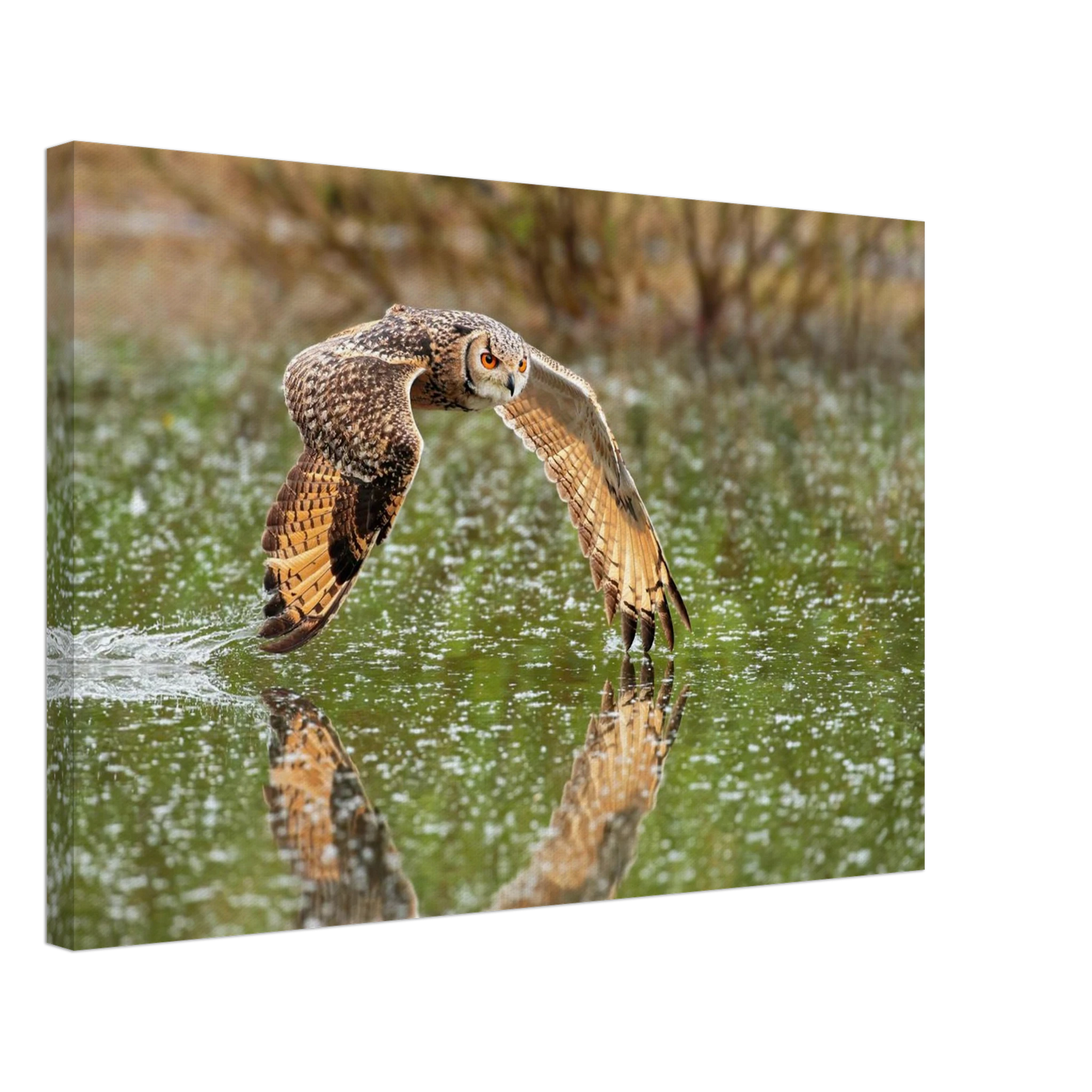Wandbild majestaetische eule im flug naturfotografie mit lebendigen orangetoenen in ihrer wunschgroesse