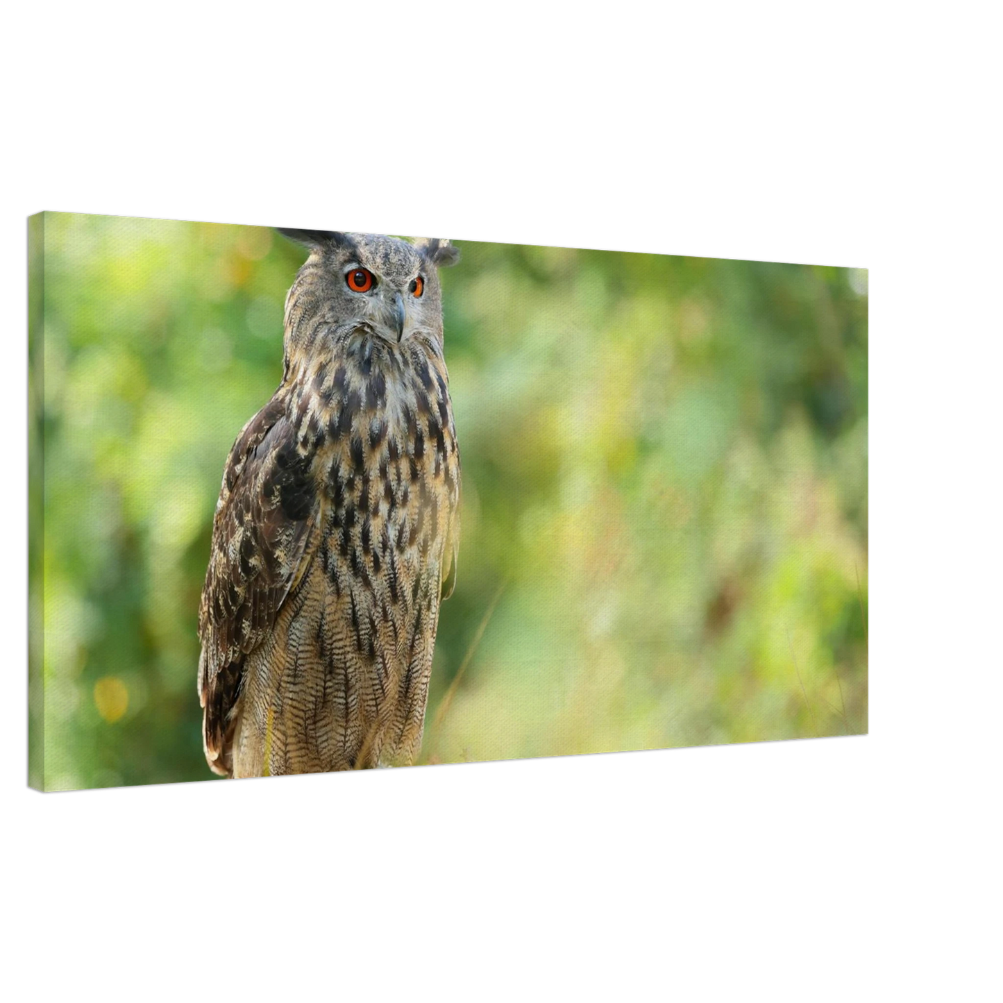 Wandbild mystische eule majestaetisches waldtier mit leuchtenden augen in ihrer wunschgroesse