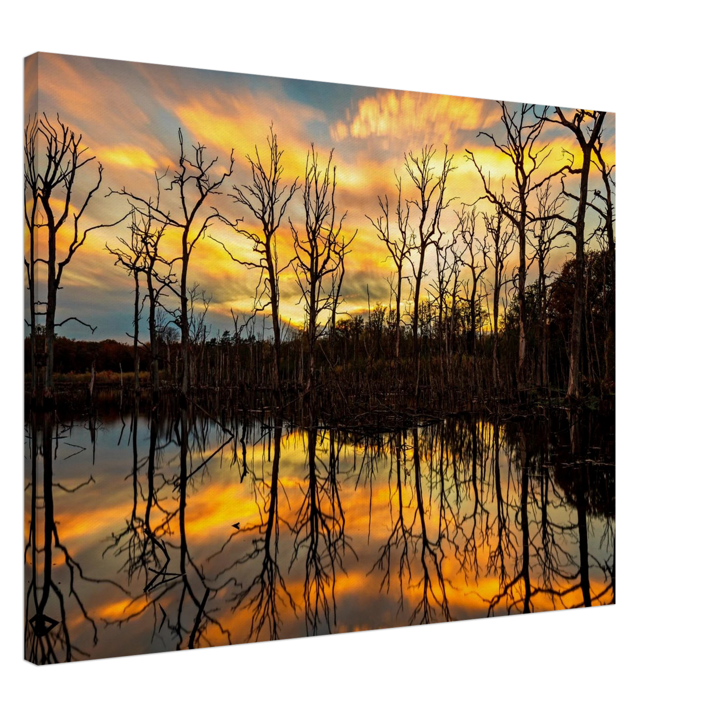 Wandbild mystischer sonnenuntergang ueber dem baumsee lebendige kunstdrucke in vielen groessen