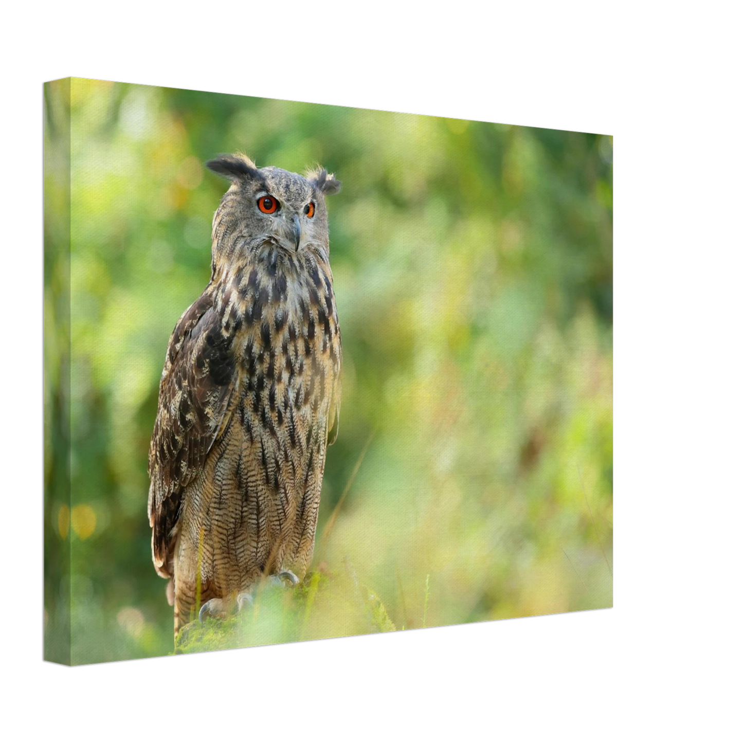 Wandbild mystische eule majestaetisches waldtier mit leuchtenden augen in ihrer wunschgroesse