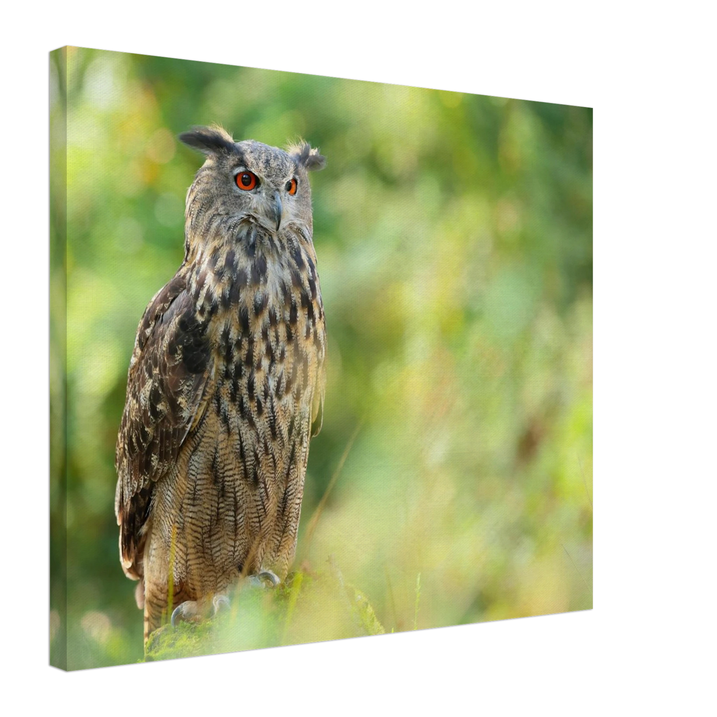 Wandbild mystische eule majestaetisches waldtier mit leuchtenden augen in ihrer wunschgroesse