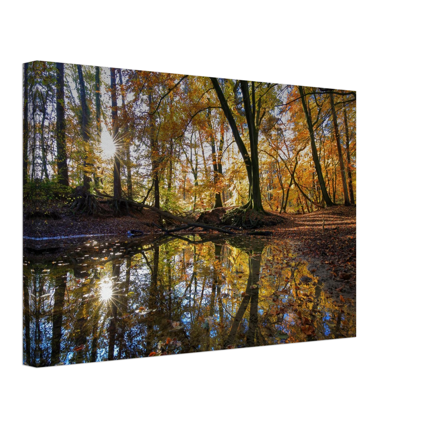 Wandbild goldener herbstwald stimmungsvolle spiegelung der natur in ihrer wunschgroesse