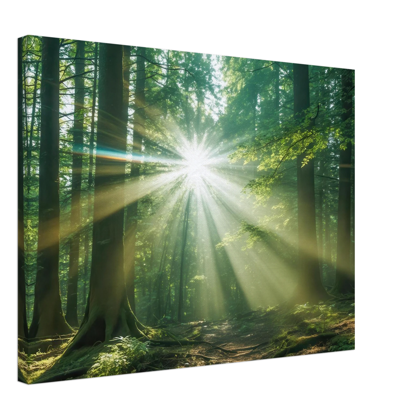 Wandbild sonnenstrahlen im wald mystisches waldlicht kunstdruck in ihrer wunschgroesse