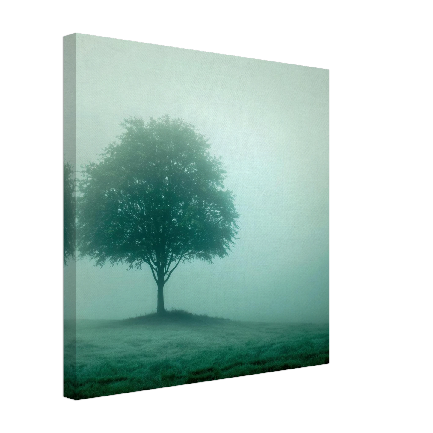 Wandbild mystischer baum im nebel ruhe und gruentoene fuer dein zuhause
