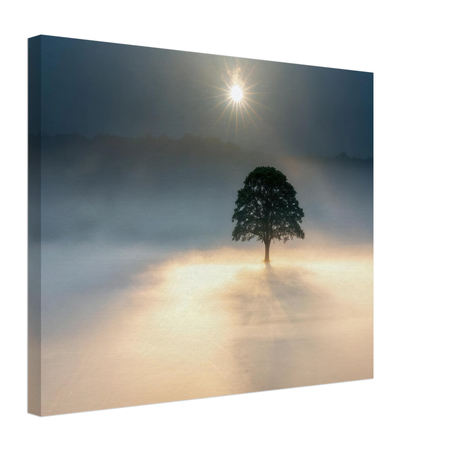 Wandbild mystisches baum wandbild einzelner baum im nebel sonnenaufgang waehlbar in verschiedenen groessen