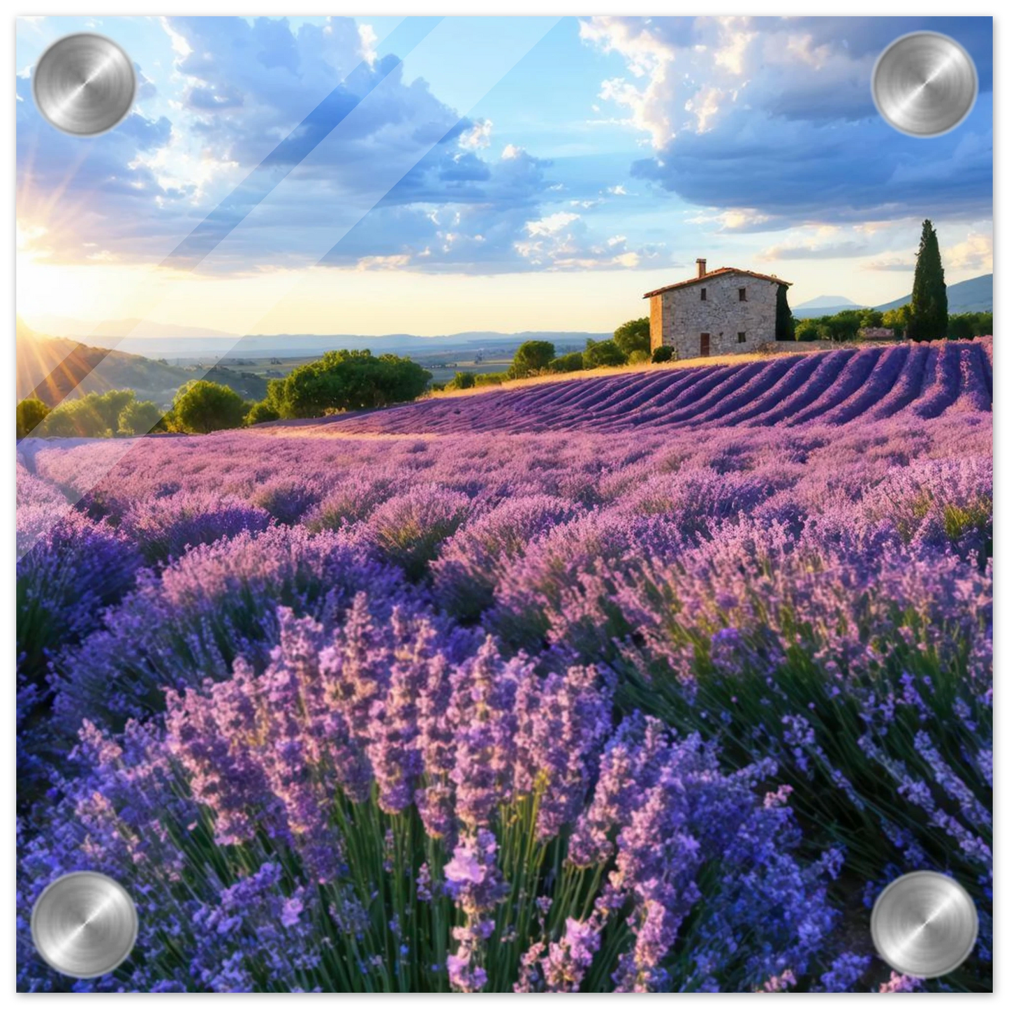 Wandbild sonnenuntergang ueber lavendelfeldern idyllische provence landschaft im wunschformat