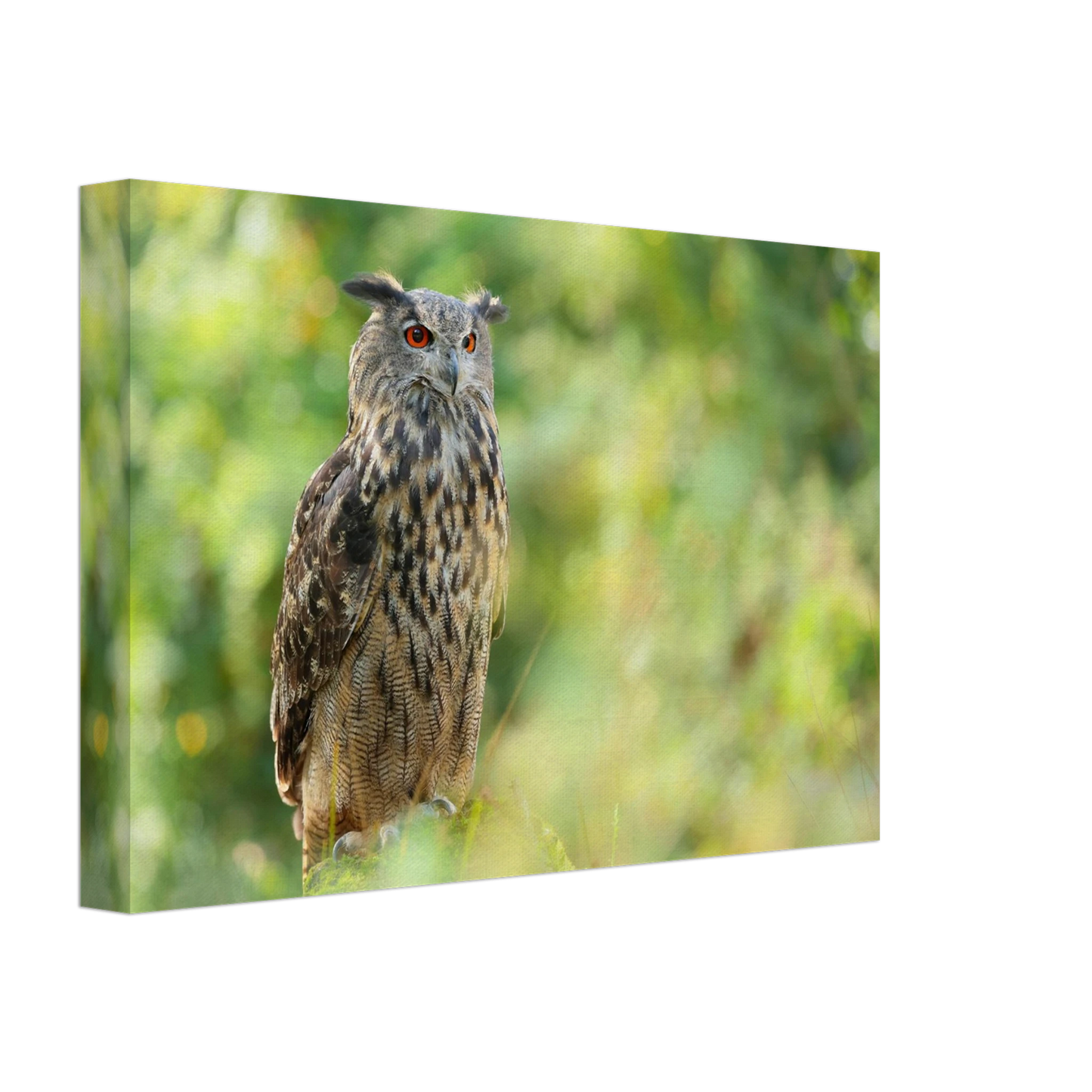 Wandbild mystische eule majestaetisches waldtier mit leuchtenden augen in ihrer wunschgroesse