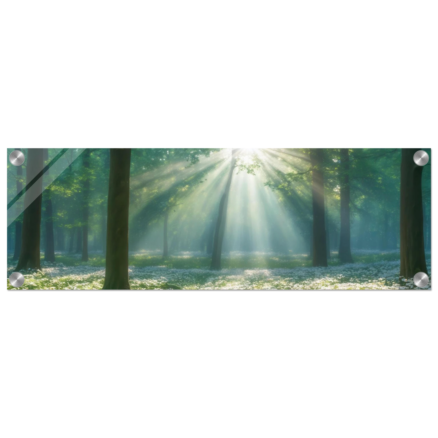 Wandbild mystischer wald sonnenstrahlen im gruenen bluetenmeer