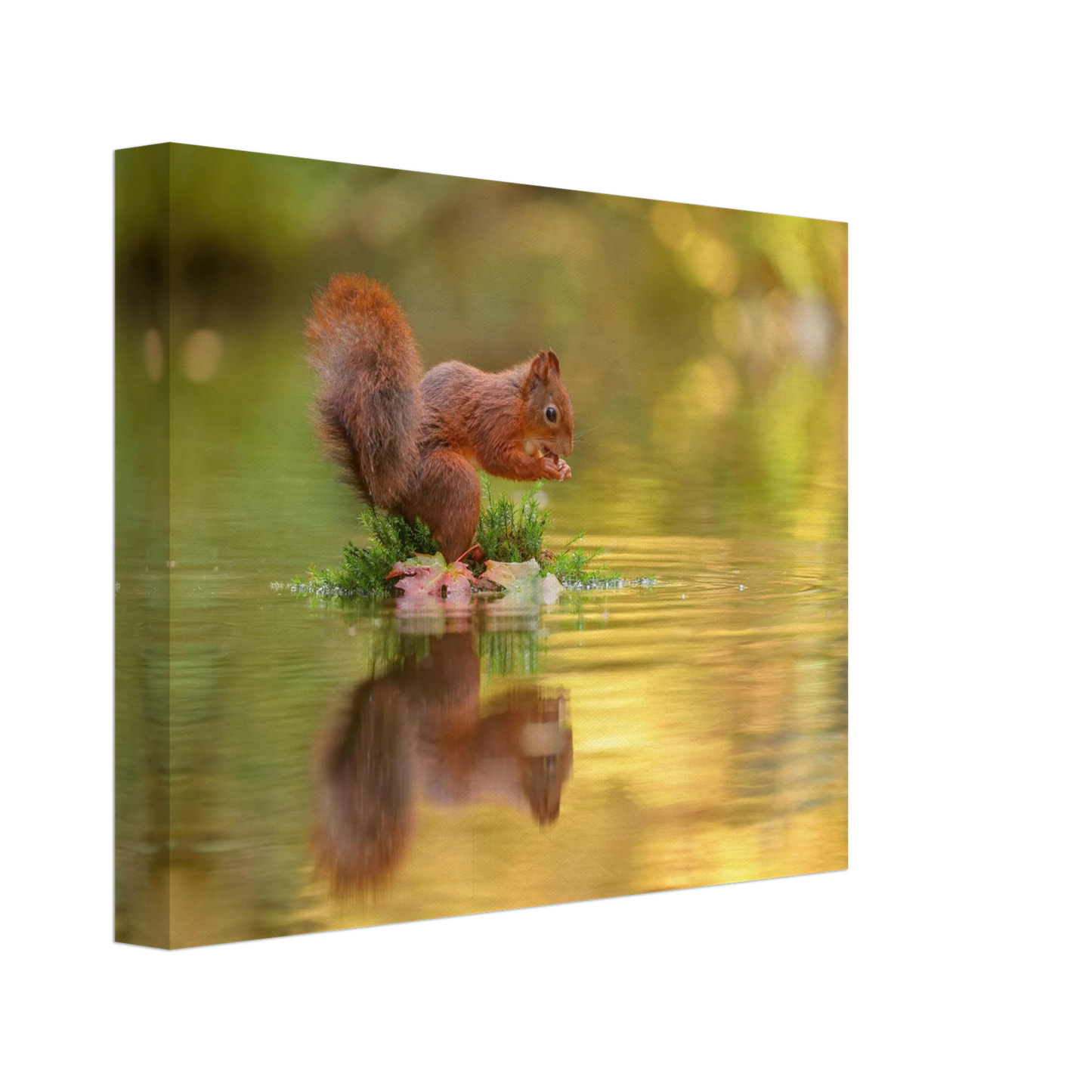 Wandbild bezauberndes eichhoernchen mit nuss lebendige wildtierkunst fuer ihr zuhause