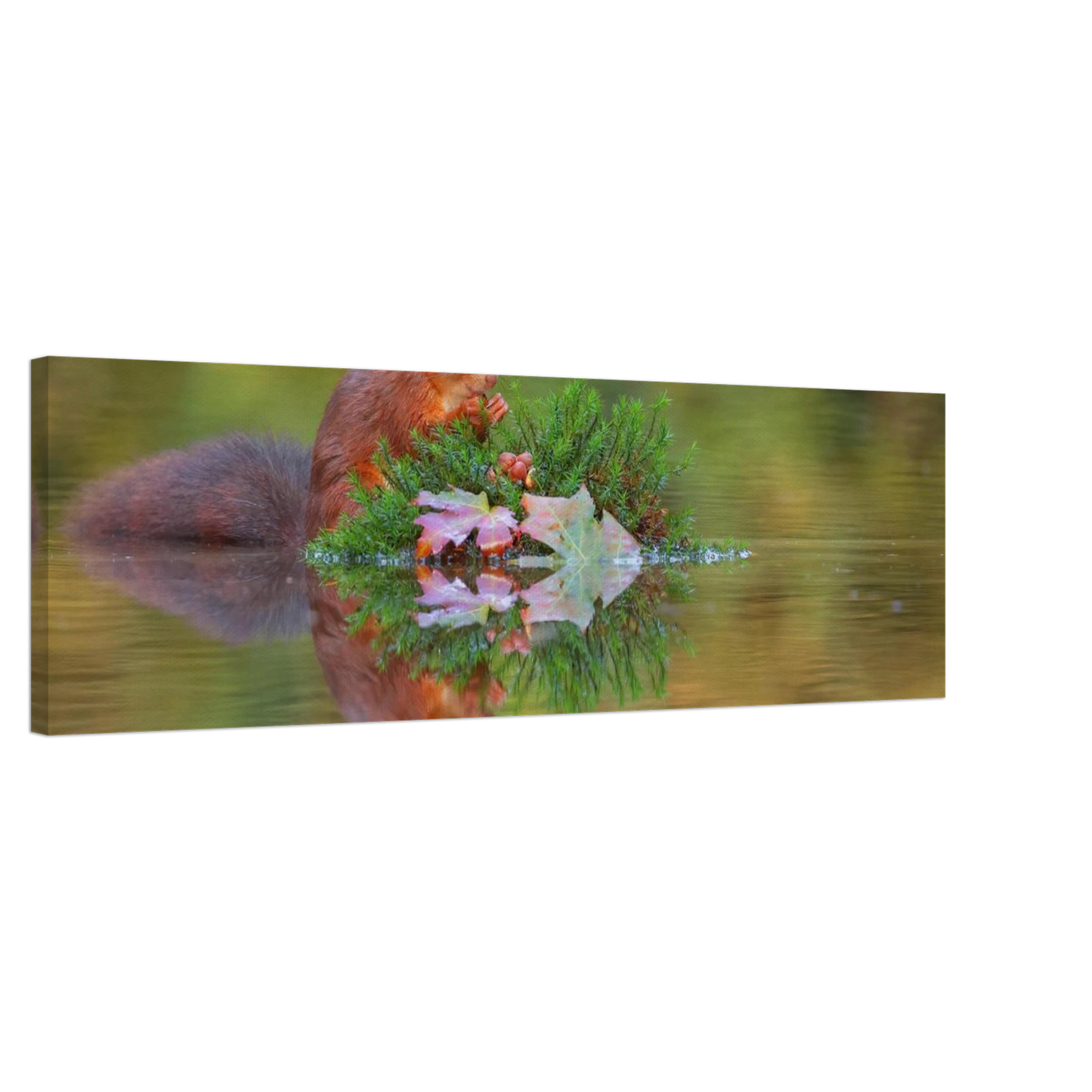 Wandbild bezauberndes eichhoernchen im herbstwald lebendige wildtierkunst fuer ihr zuhause in vielen groessen