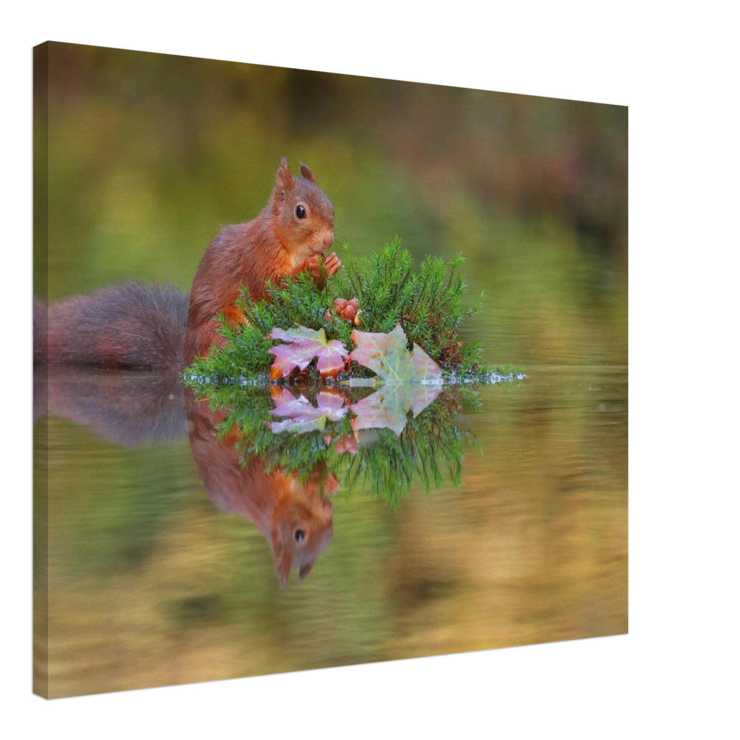 Wandbild bezauberndes eichhoernchen im herbstwald lebendige wildtierkunst fuer ihr zuhause in vielen groessen