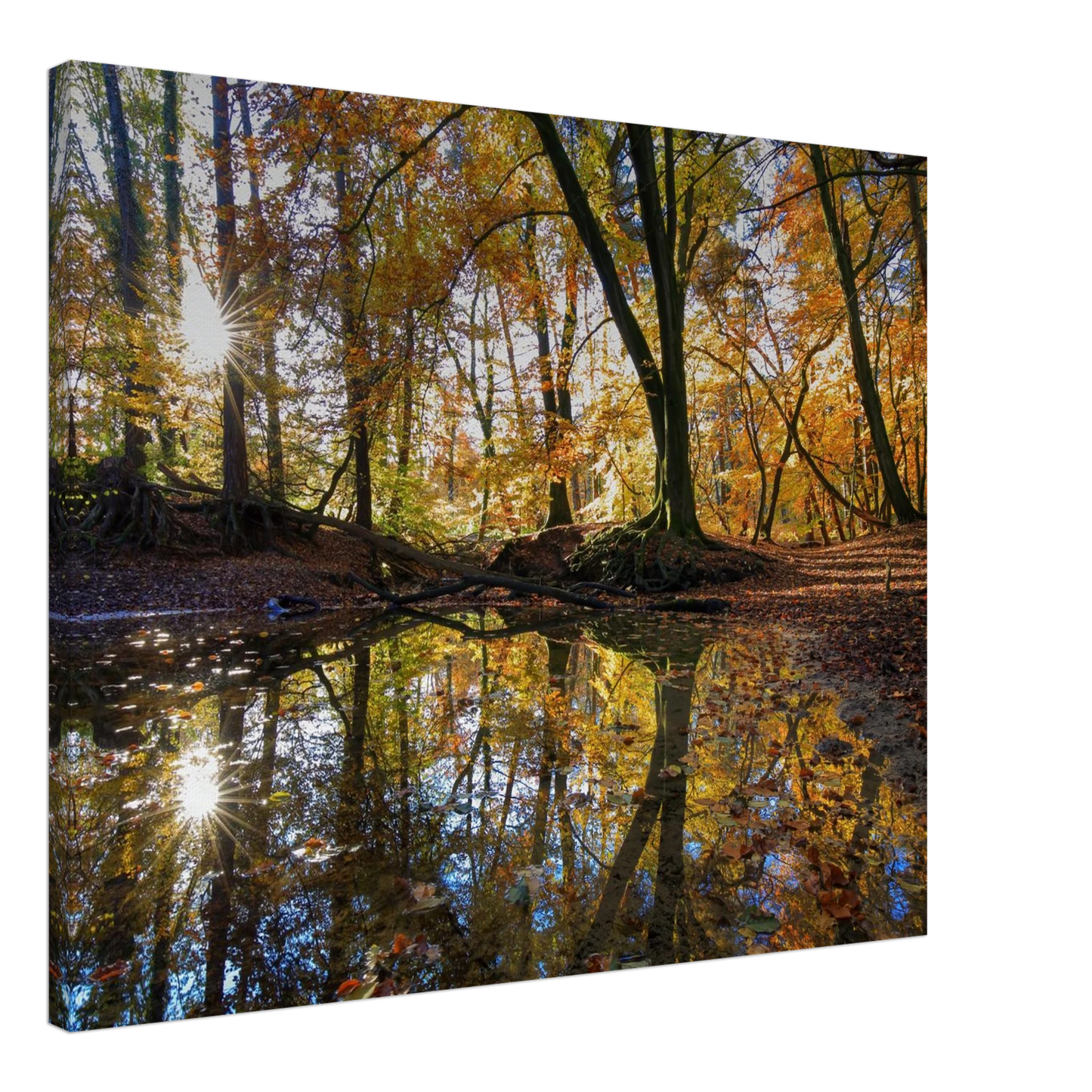 Wandbild goldener herbstwald stimmungsvolle spiegelung der natur in ihrer wunschgroesse