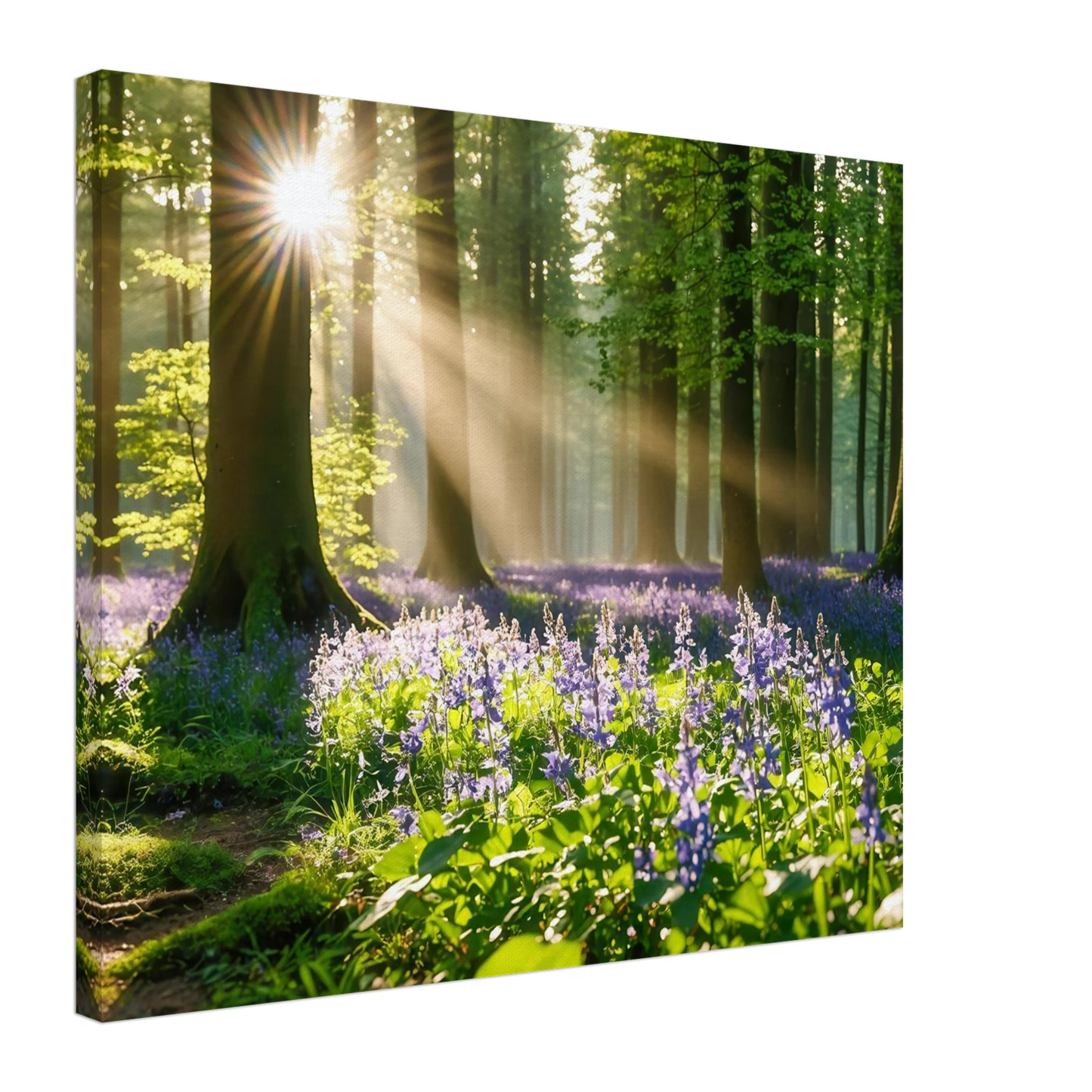 Wandbild mystischer morgenwald mit sonnenstrahlen und lila blueten in vielen groessen