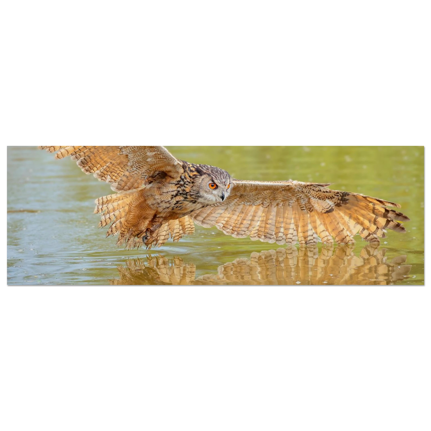 Wandbild majestaetischer uhu im jagdflug atemberaubende wildtierkunst in verschiedenen groessen