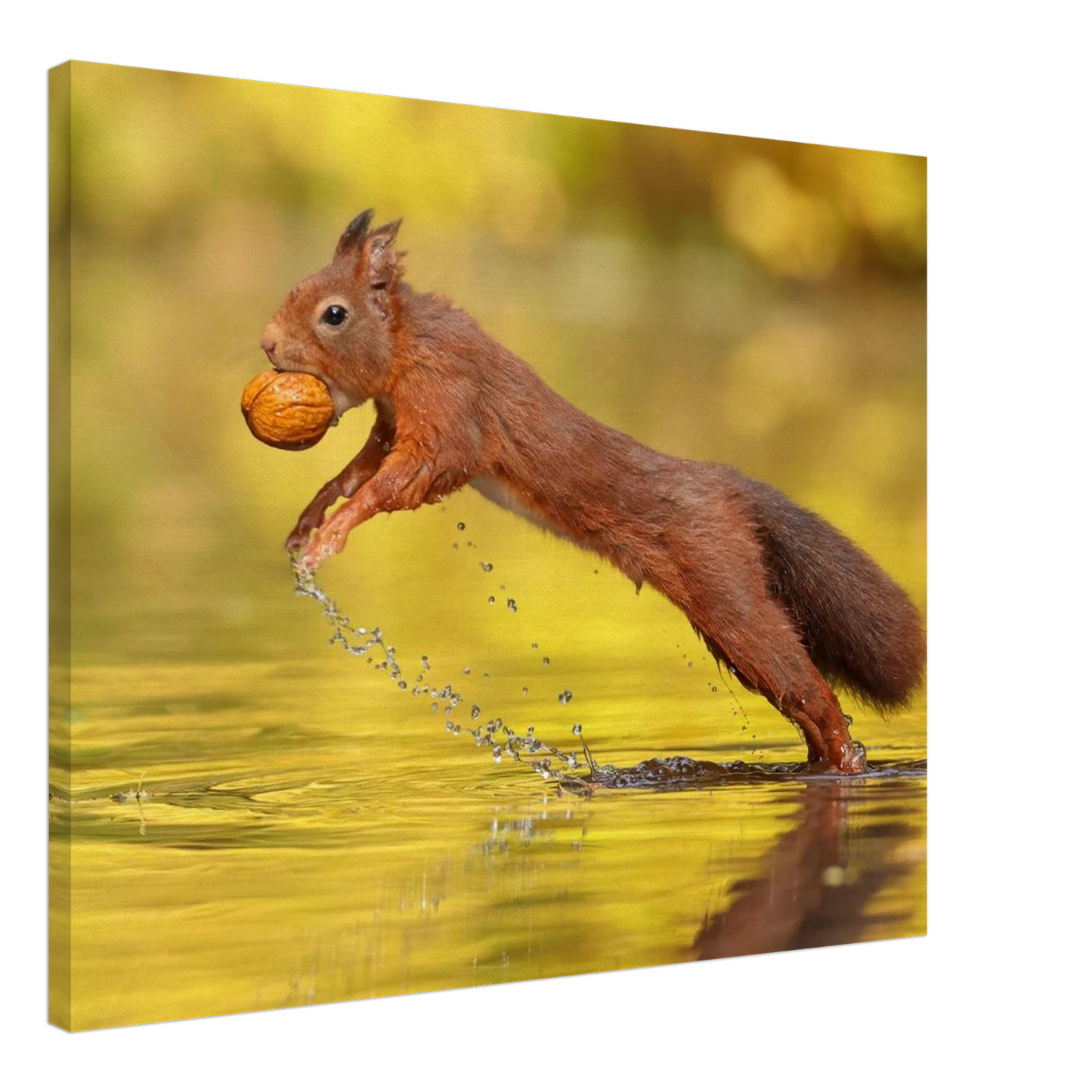 Wandbild eichhoernchen dynamische eichhoernchen kunst in lebhaften herbsttoenen