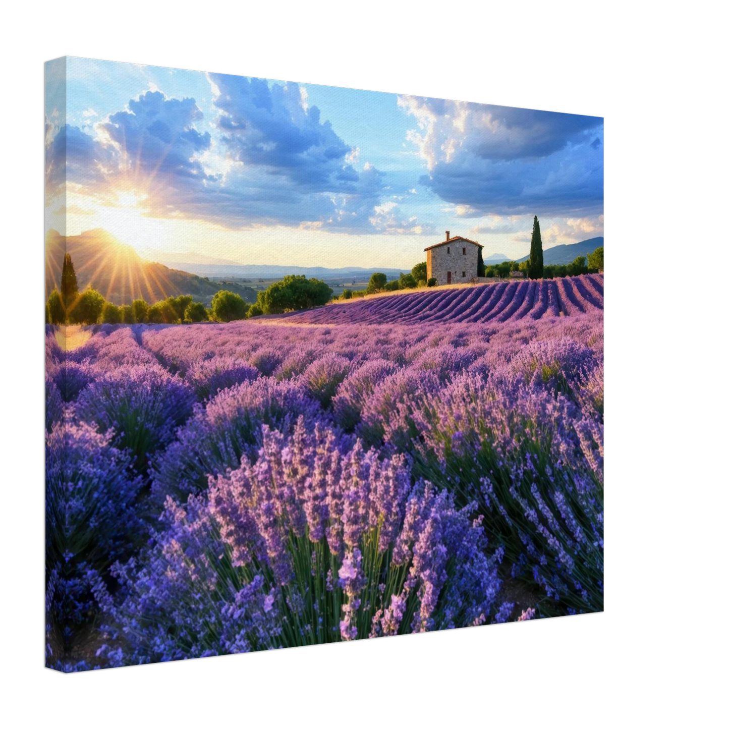Wandbild sonnenuntergang ueber lavendelfeldern idyllische provence landschaft im wunschformat