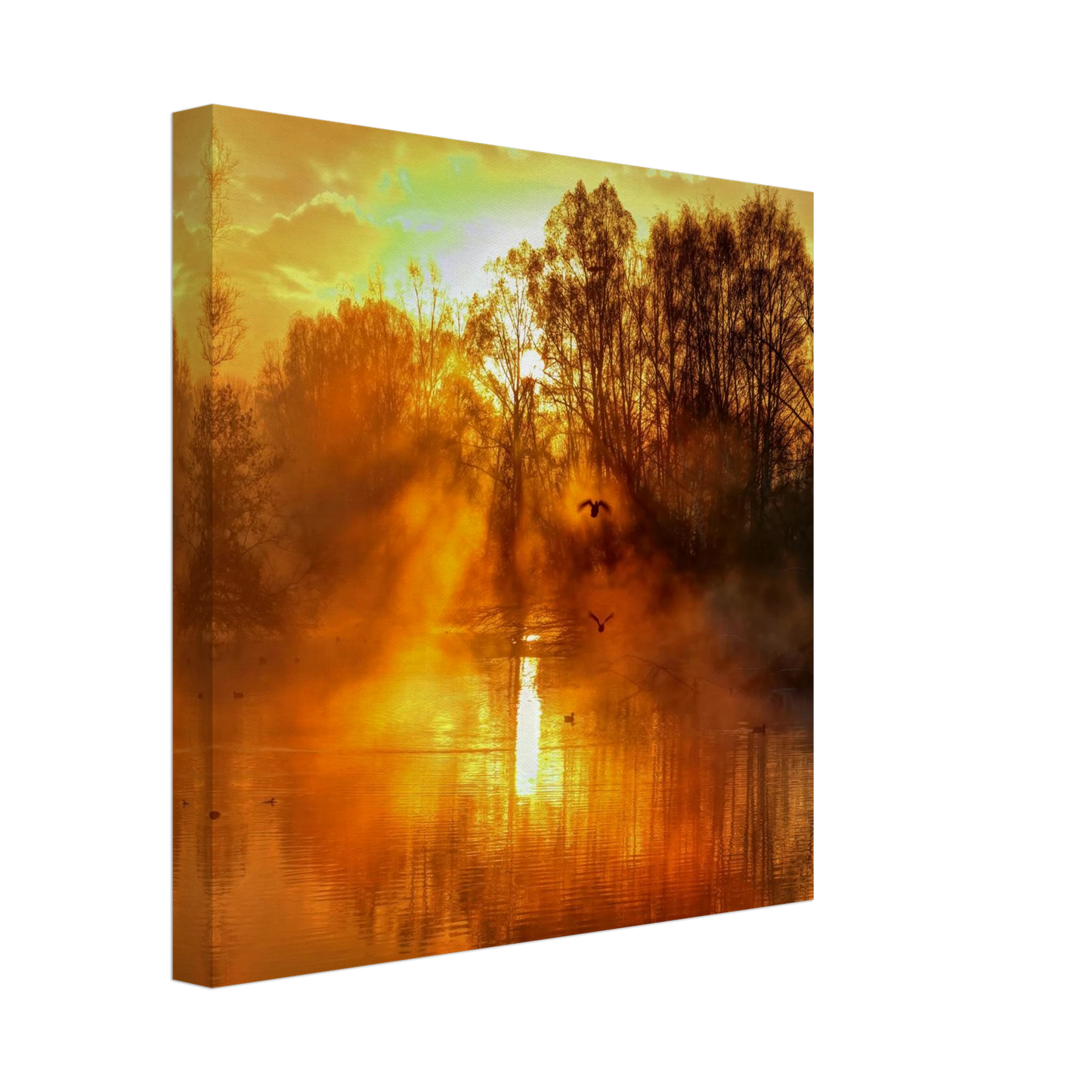 Wandbild Goldene morgenroete wandbild nebelwald poster in 25 groessenausfuehrungen