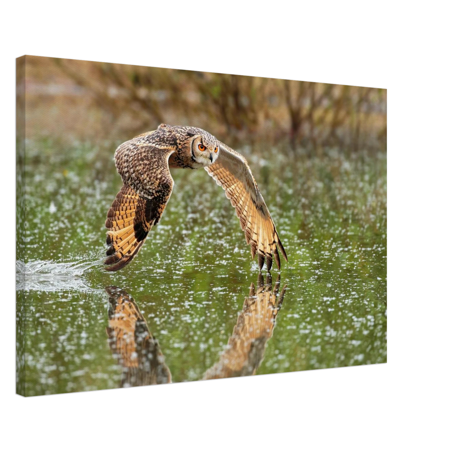 Wandbild majestaetische eule im flug naturfotografie mit lebendigen orangetoenen in ihrer wunschgroesse