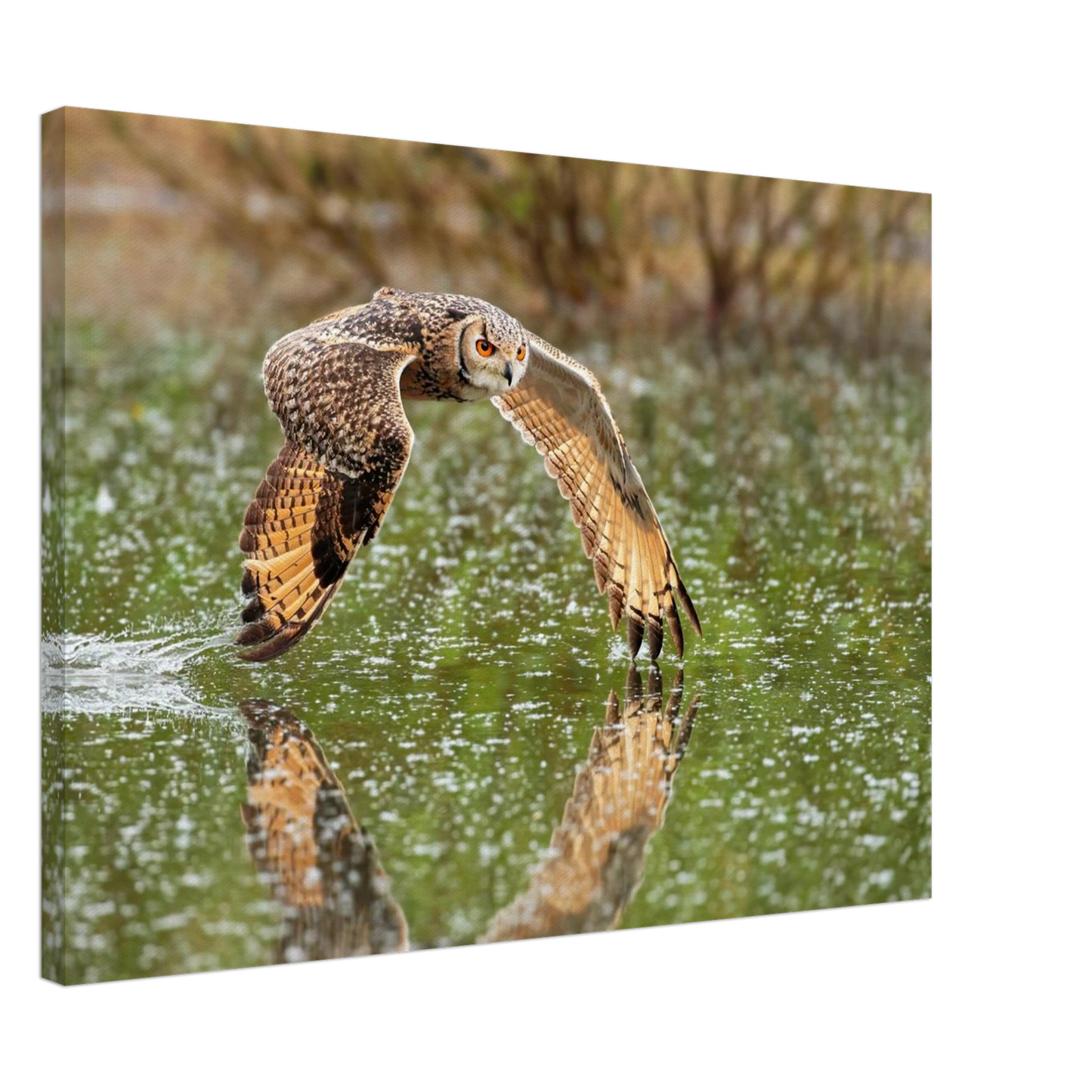Wandbild majestaetische eule im flug naturfotografie mit lebendigen orangetoenen in ihrer wunschgroesse