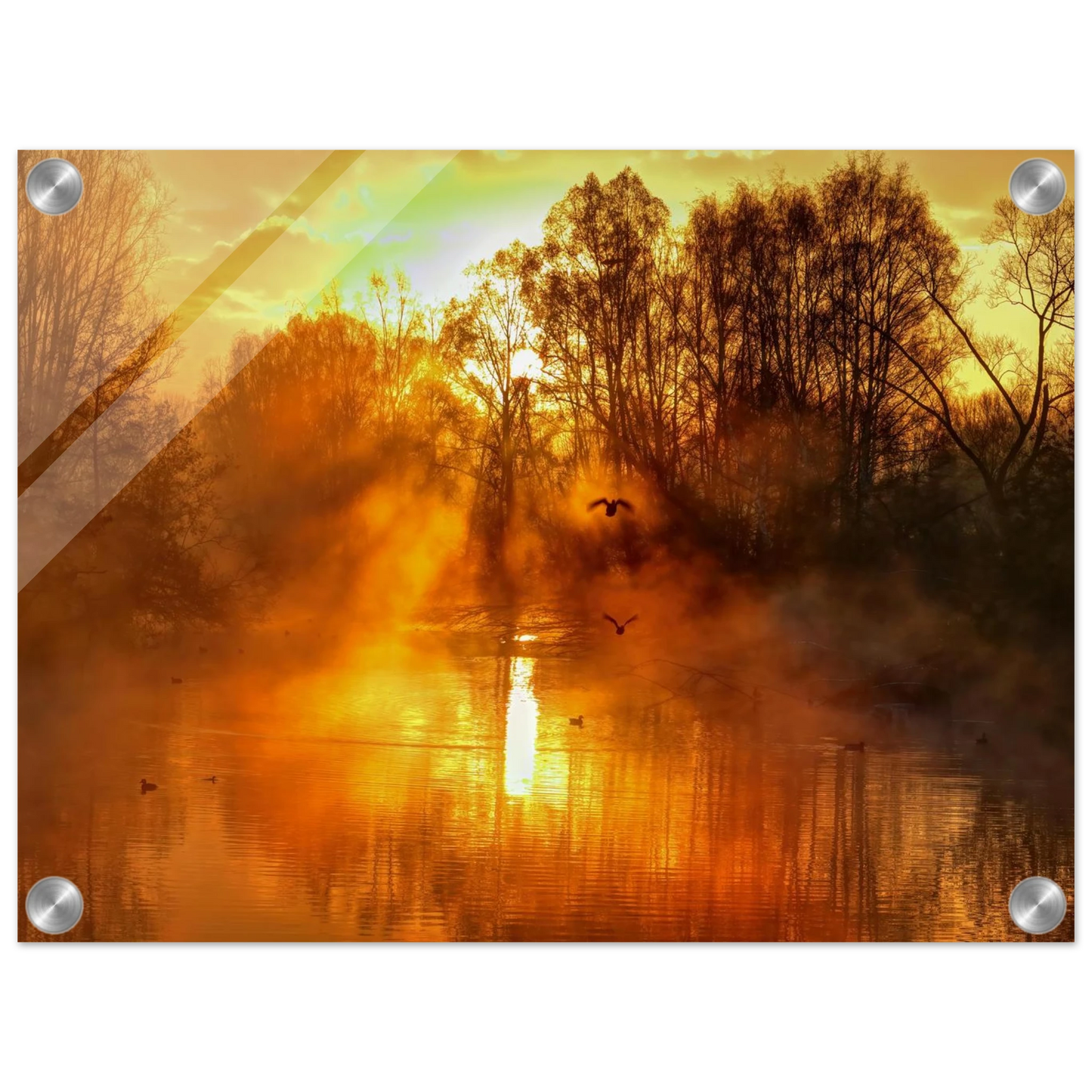 Wandbild Goldene morgenroete wandbild nebelwald poster in 25 groessenausfuehrungen