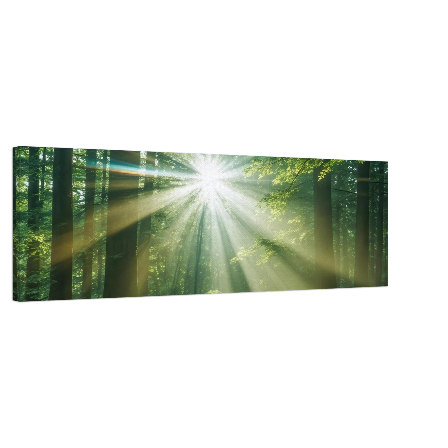 Wandbild sonnenstrahlen im wald mystisches waldlicht kunstdruck in ihrer wunschgroesse