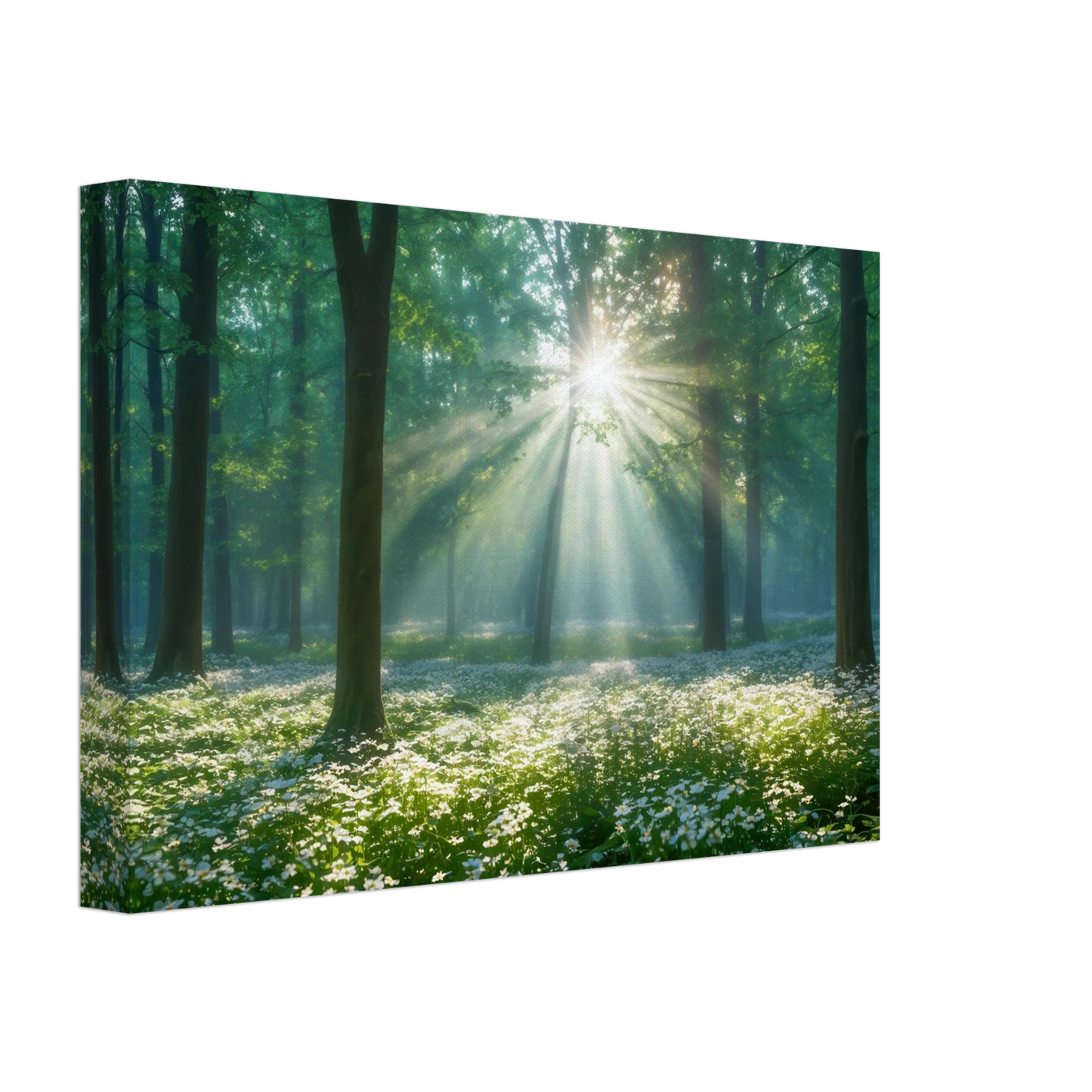 Wandbild mystischer wald sonnenstrahlen im gruenen bluetenmeer