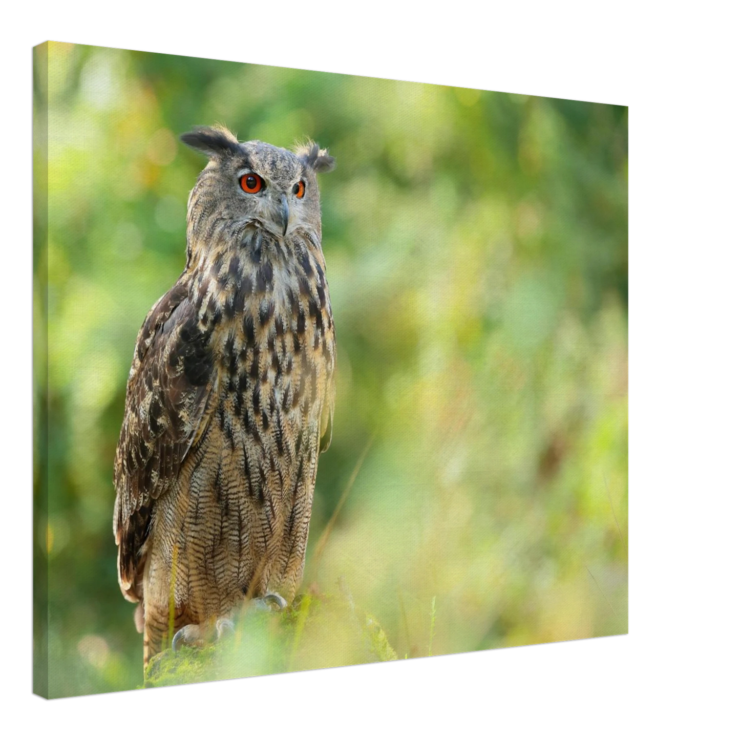 Wandbild mystische eule majestaetisches waldtier mit leuchtenden augen in ihrer wunschgroesse