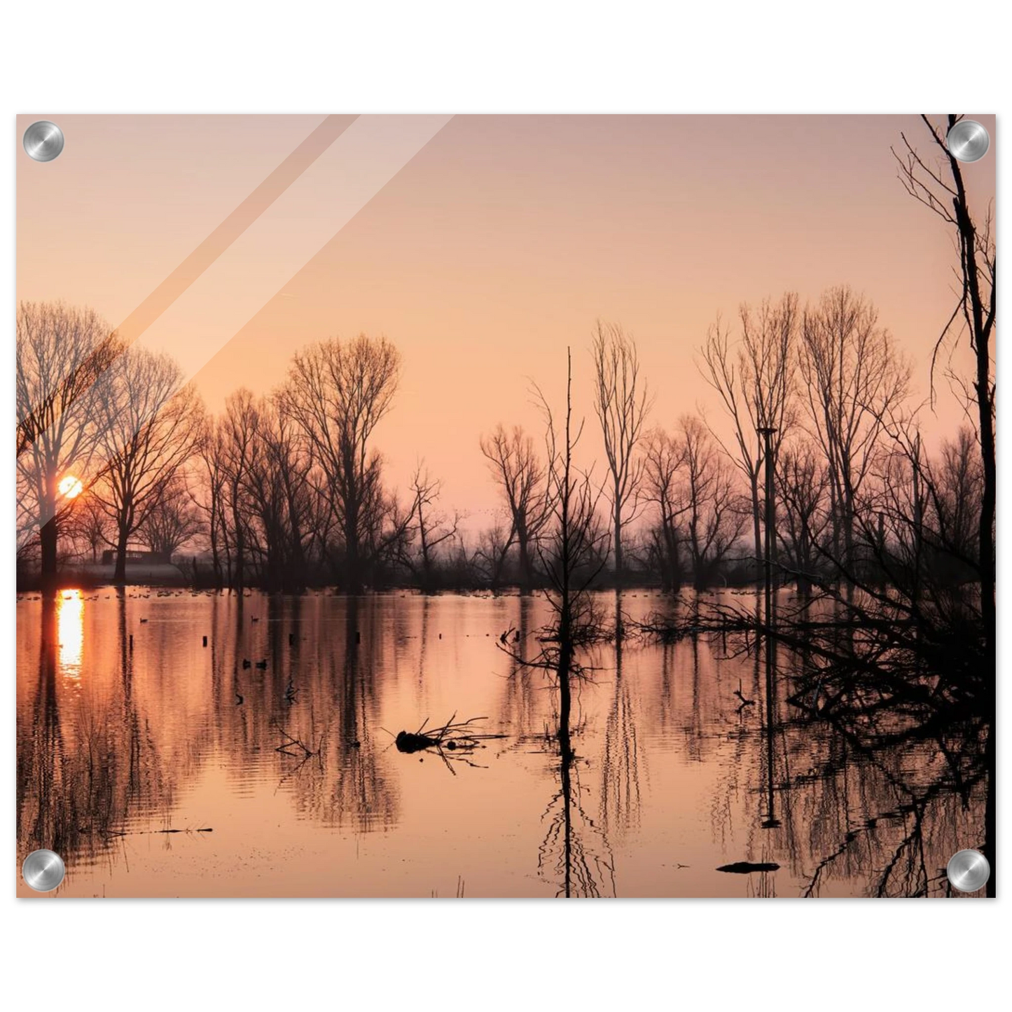 Wandbild mystischer sonnenuntergang am see vertraeumtes naturbild zum aufhaengen in ihrer wunschgroesse