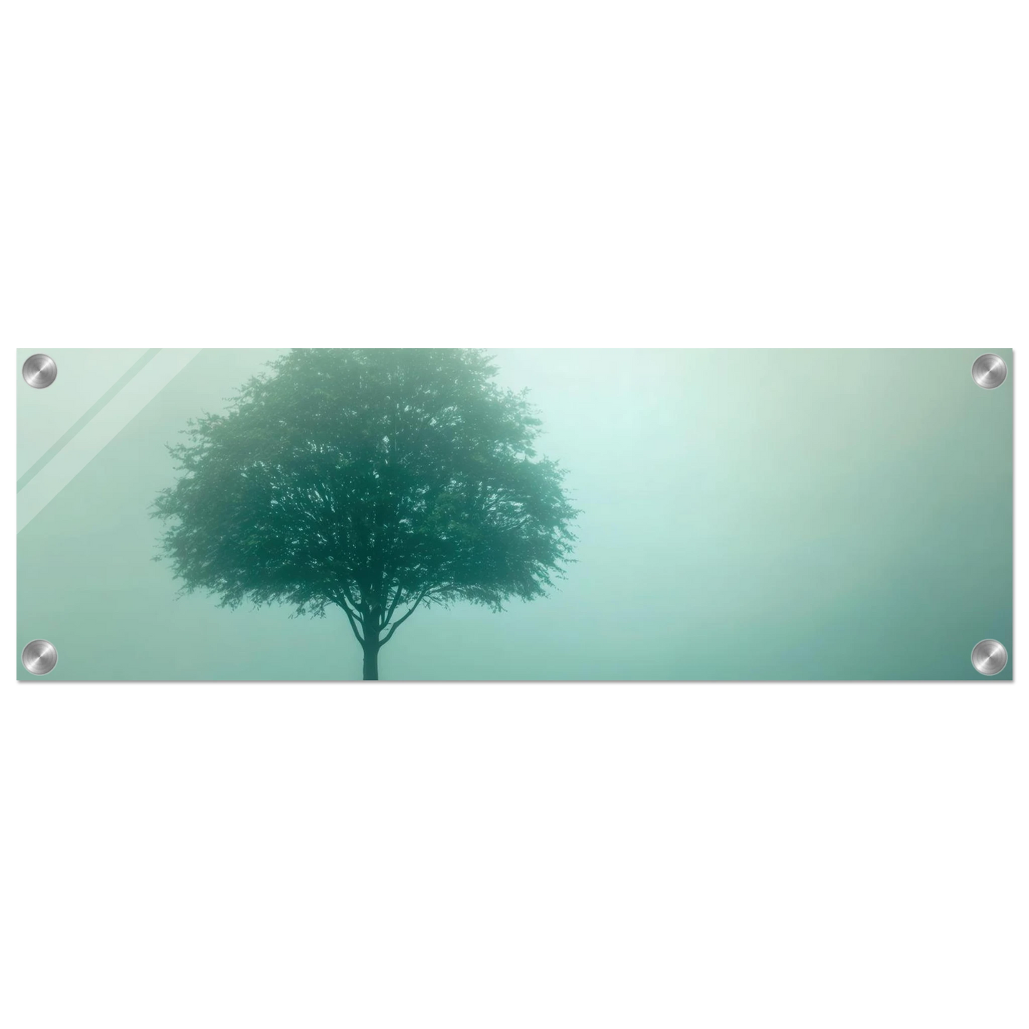 Wandbild mystischer baum im nebel ruhe und gruentoene fuer dein zuhause