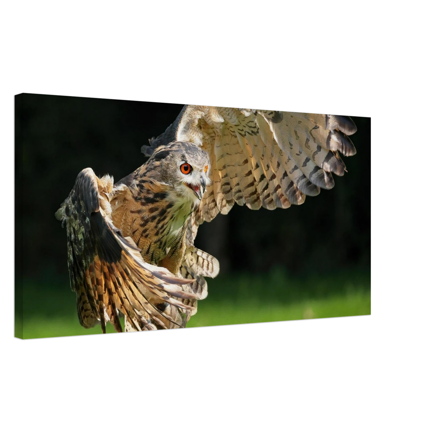 Wandbild majestaetische eule im flug ausdrucksstarke wandkunst fuer ihr zuhause