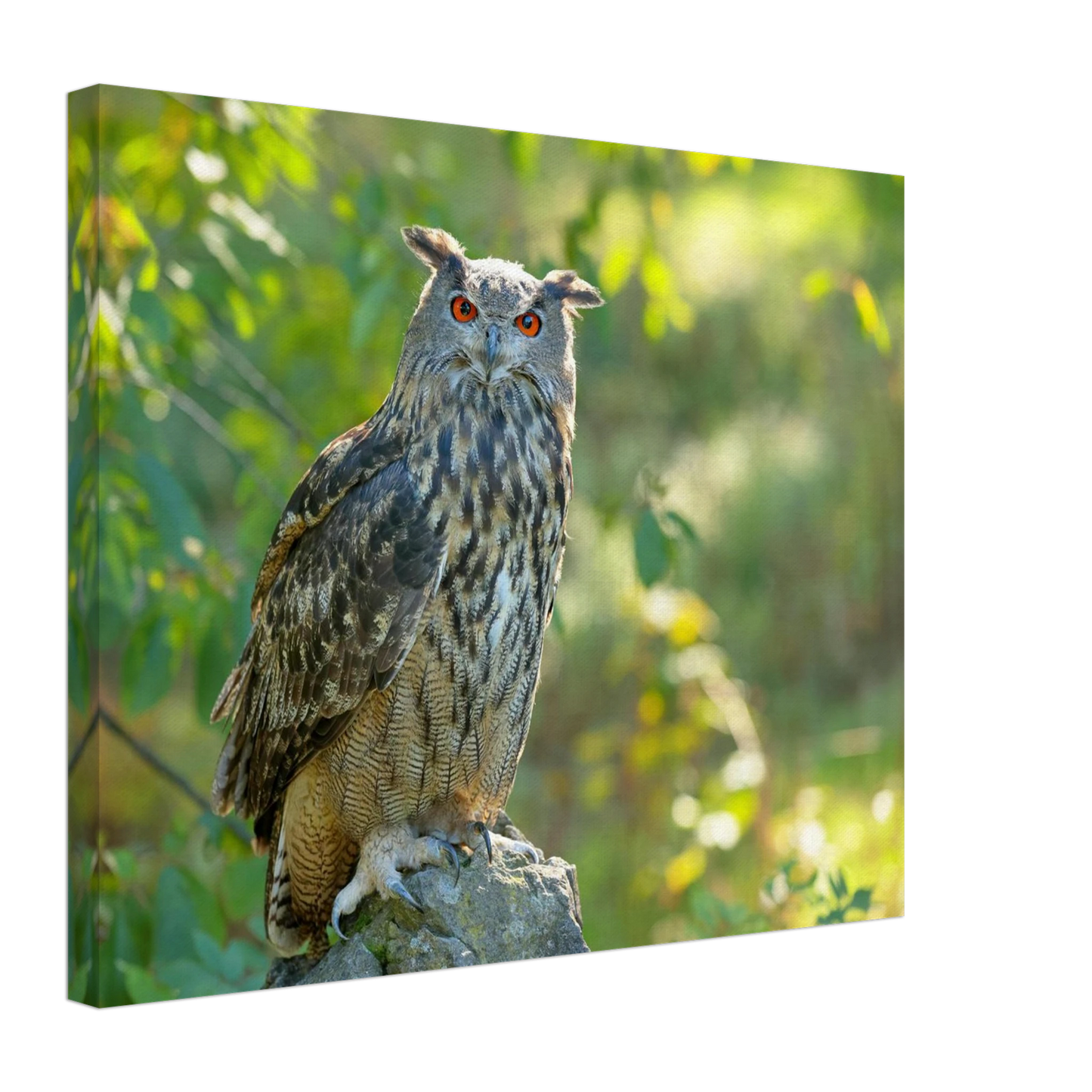 Wandbild mystische eule mit leuchtenden augen faszinierende wildtier kunst fuer ihr zuhause