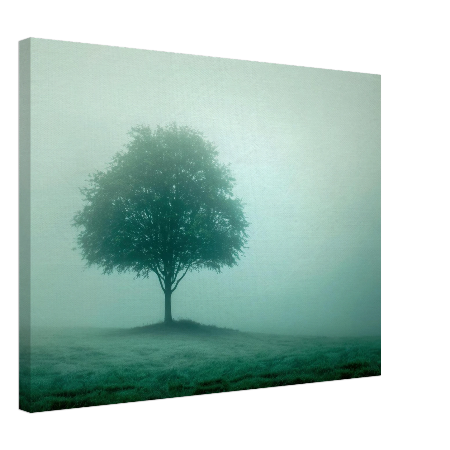 Wandbild mystischer baum im nebel ruhe und gruentoene fuer dein zuhause
