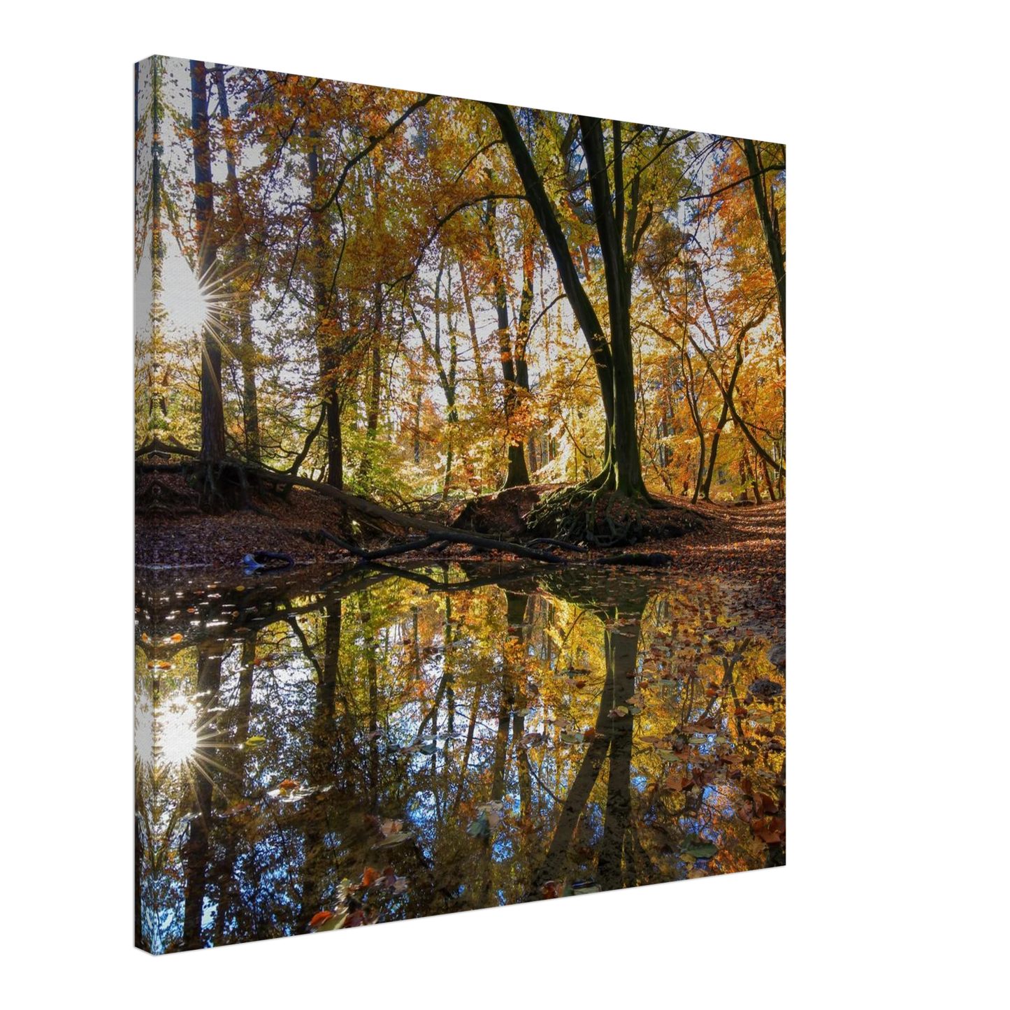 Wandbild goldener herbstwald stimmungsvolle spiegelung der natur in ihrer wunschgroesse