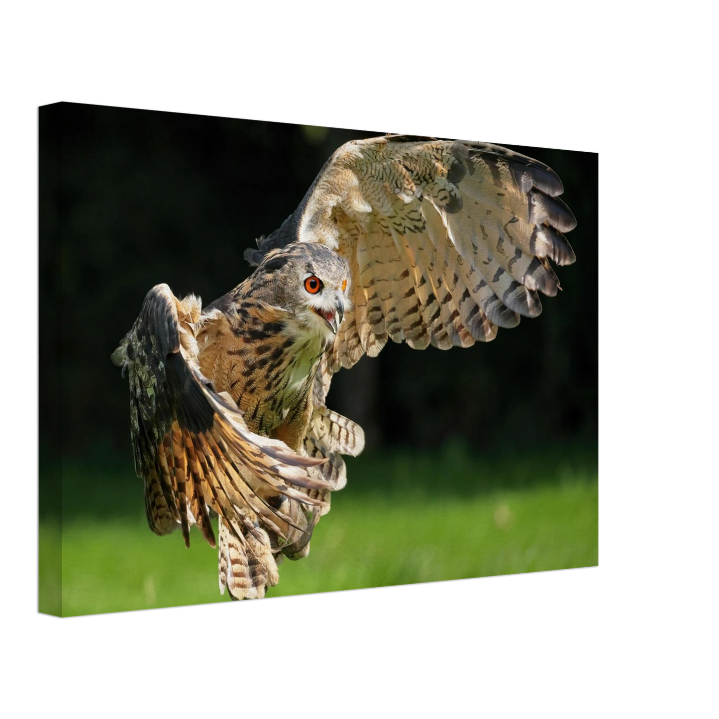 Wandbild majestaetische eule im flug ausdrucksstarke wandkunst fuer ihr zuhause