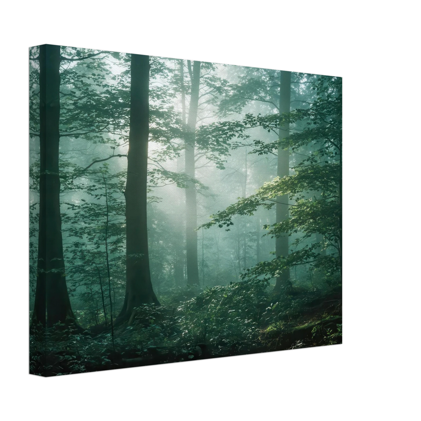 Wandbild mystischer smaragd wald mit sonnenstrahlen beruhigende nebelwald kunst in ihrer wunschgroesse