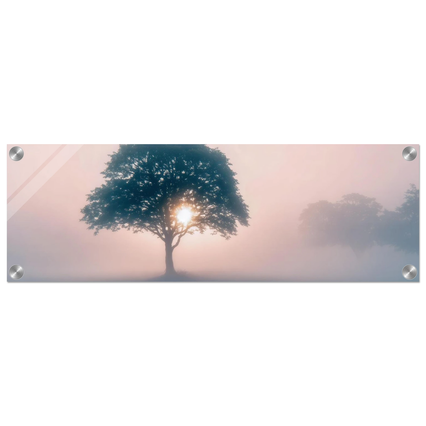 Wandbild mystischer morgendaemmerung baum traumhaftes landschaftsbild fuer ihre wohlfuehloase