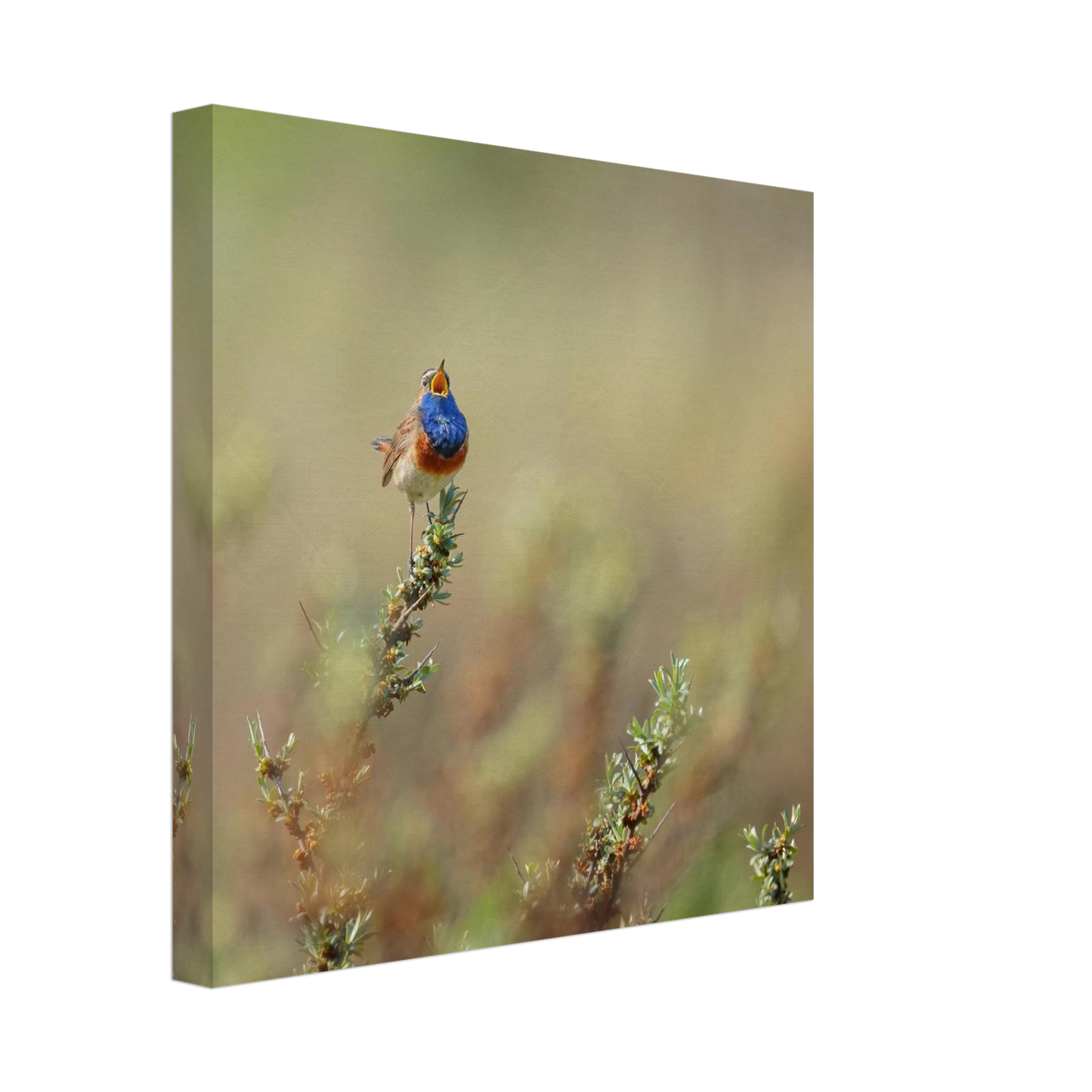 Wandbild lebendige nachtigall ein meisterwerk der naturfotografie fuer ihr zuhause
