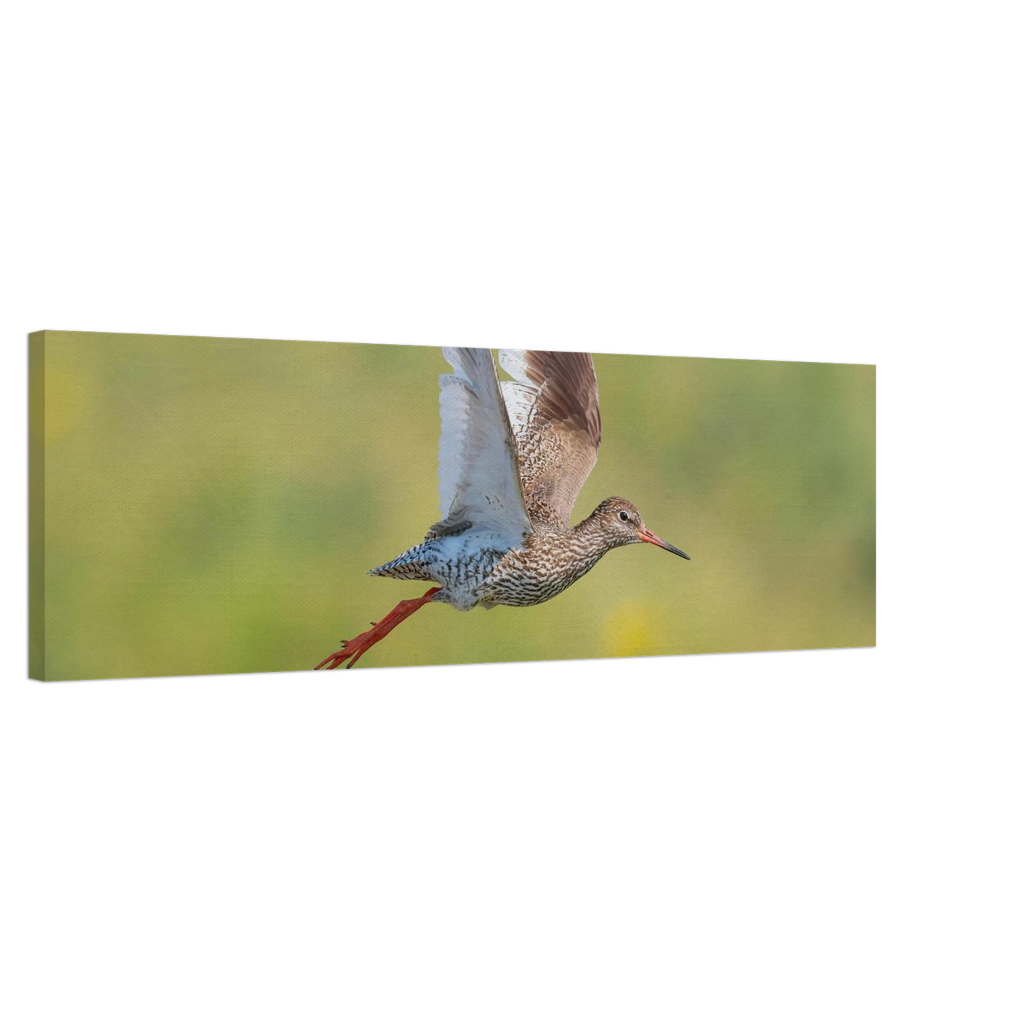 Wandbild der flug des rotschenkels dynamische tierkunst fuer ihr zuhause in vielen groessen erhaeltlich
