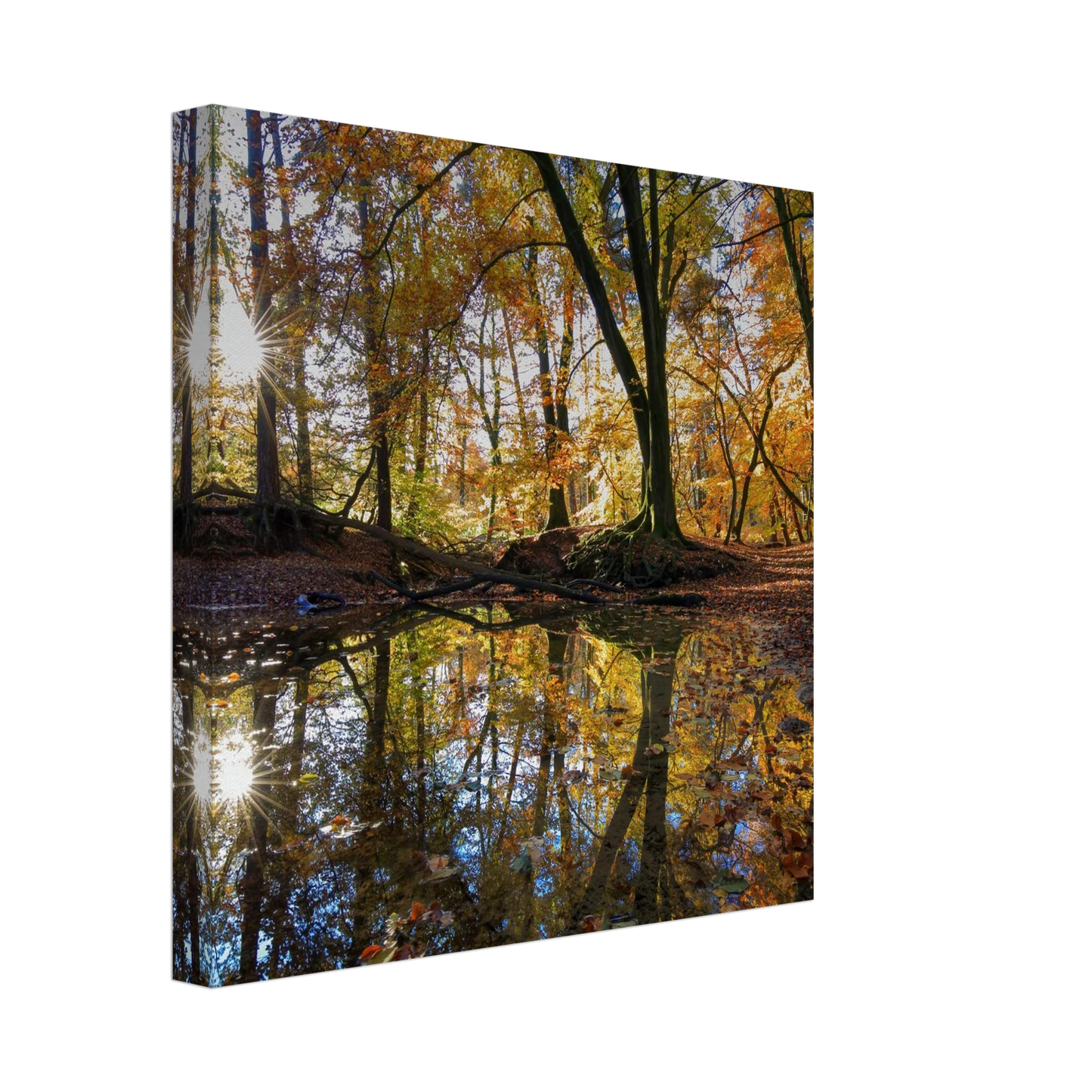 Wandbild goldener herbstwald stimmungsvolle spiegelung der natur in ihrer wunschgroesse