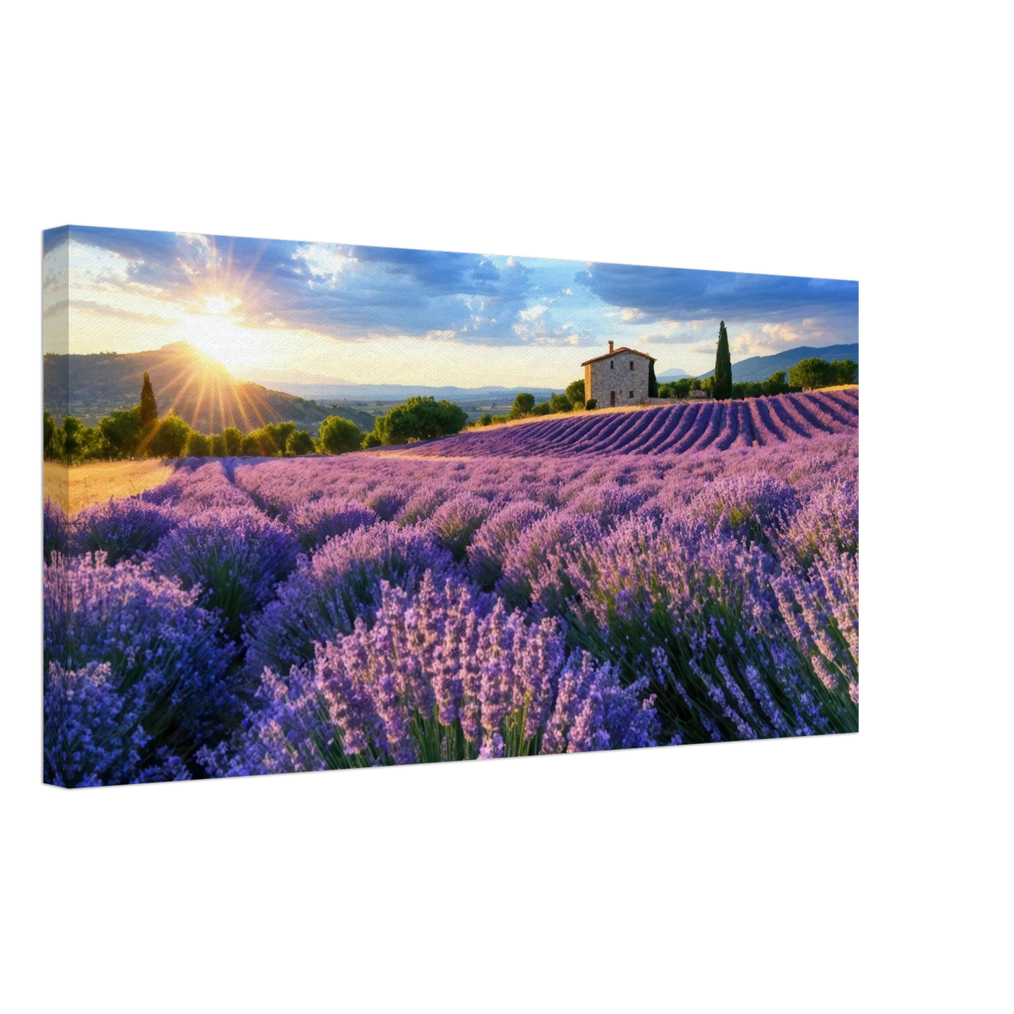 Wandbild sonnenuntergang ueber lavendelfeldern idyllische provence landschaft im wunschformat